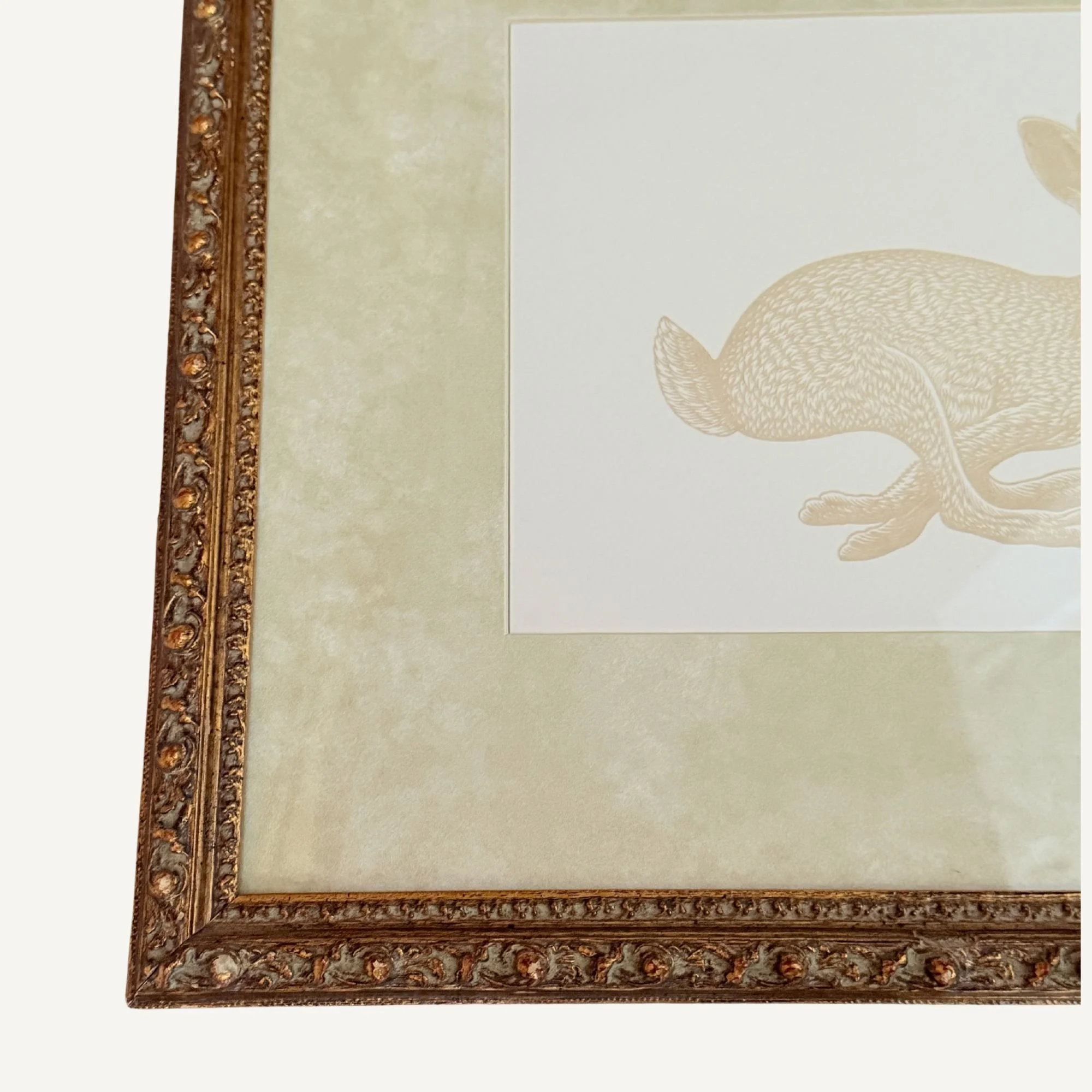 Website Photos (41).jpg