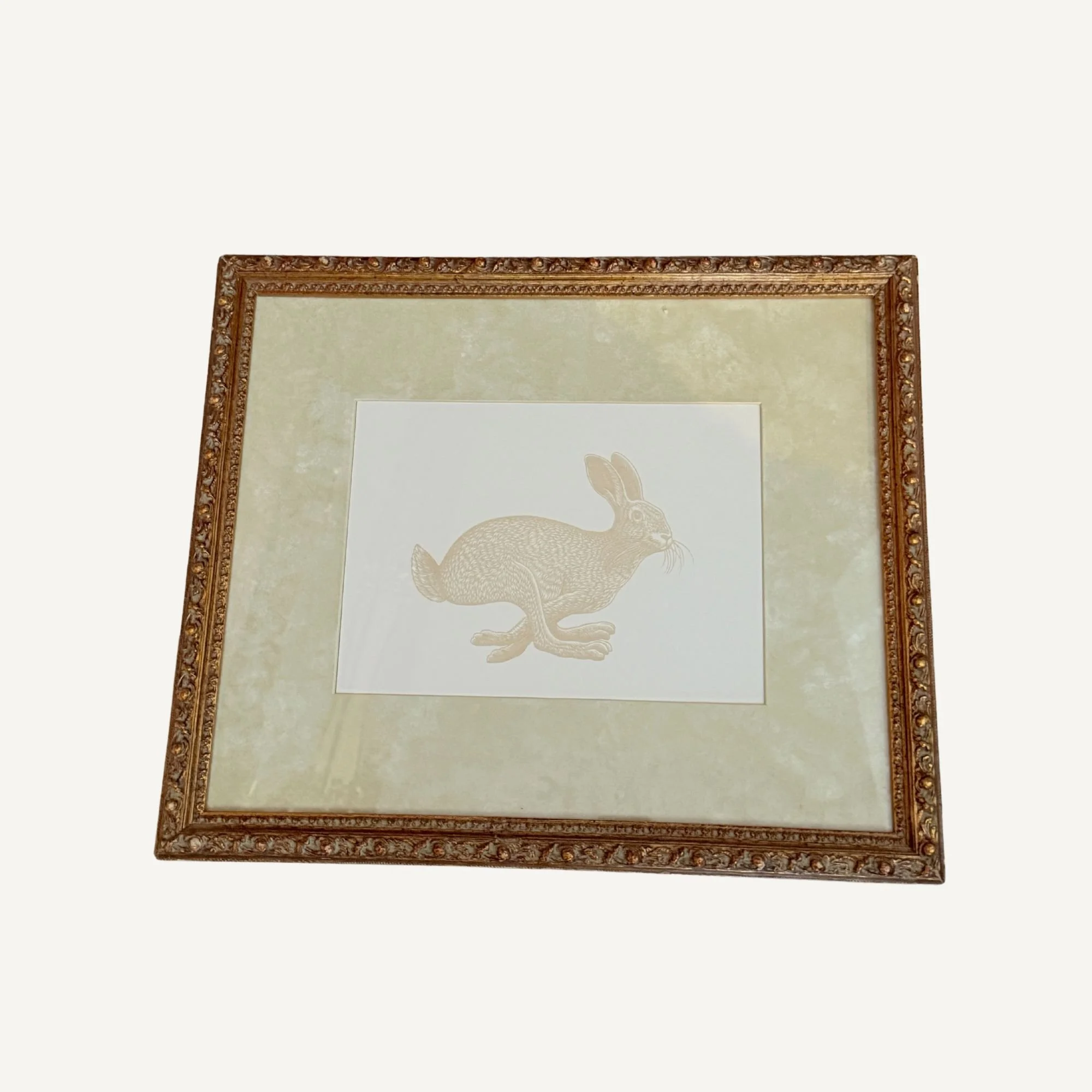 Website Photos (40).jpg