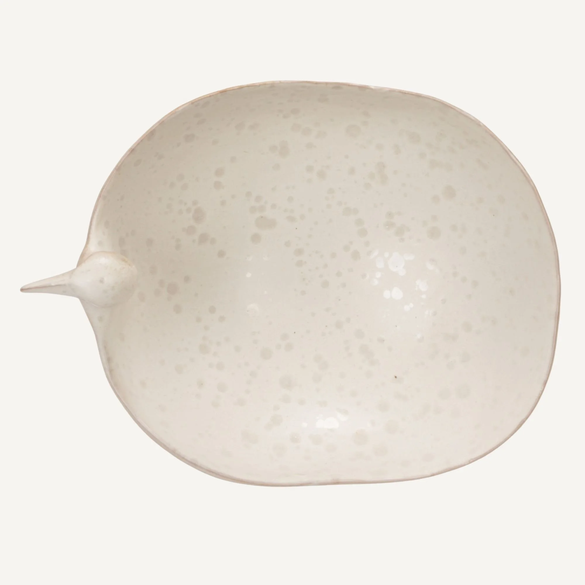 Website Photos - 2026-03-05T134707.442.jpg