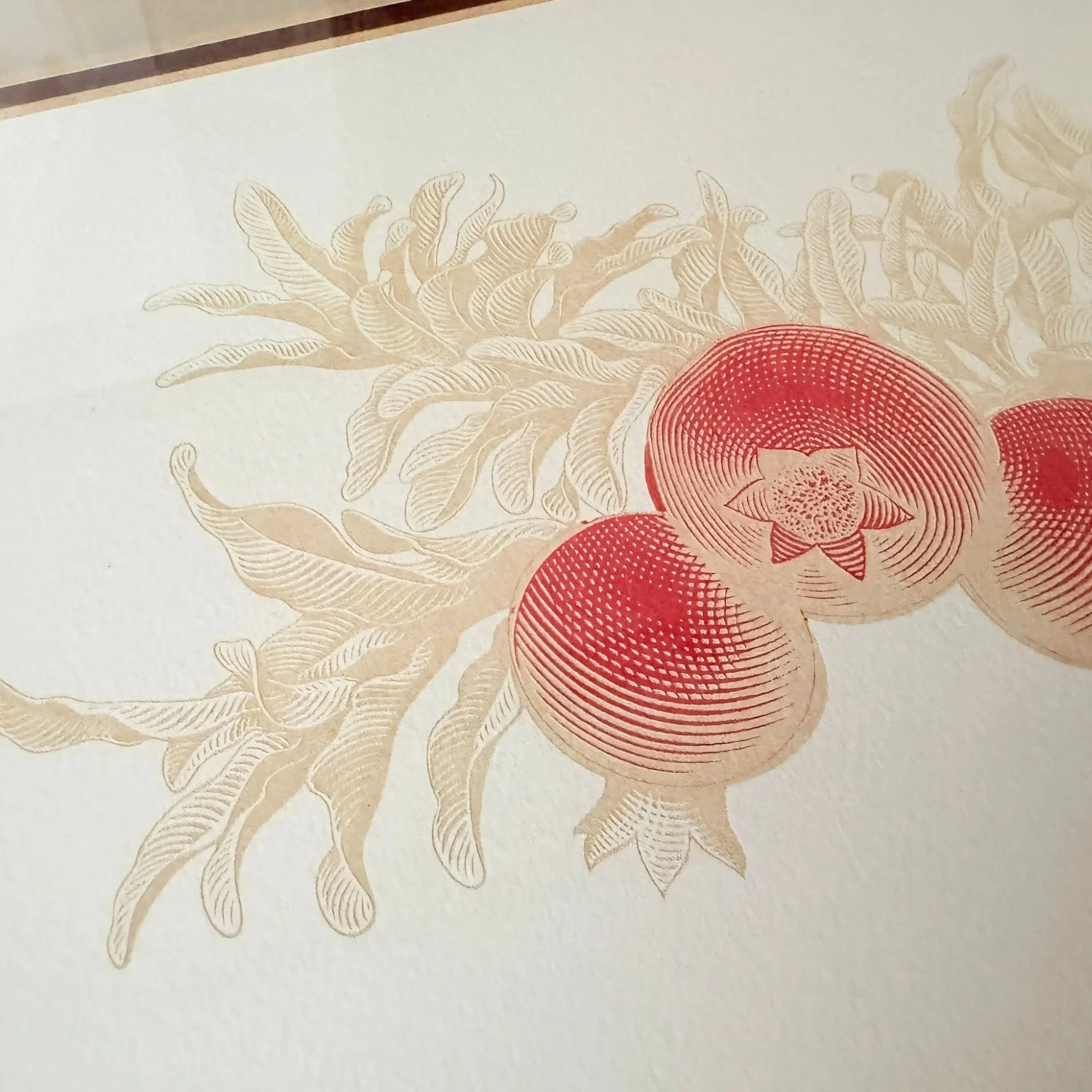 Website Photos (38).jpg