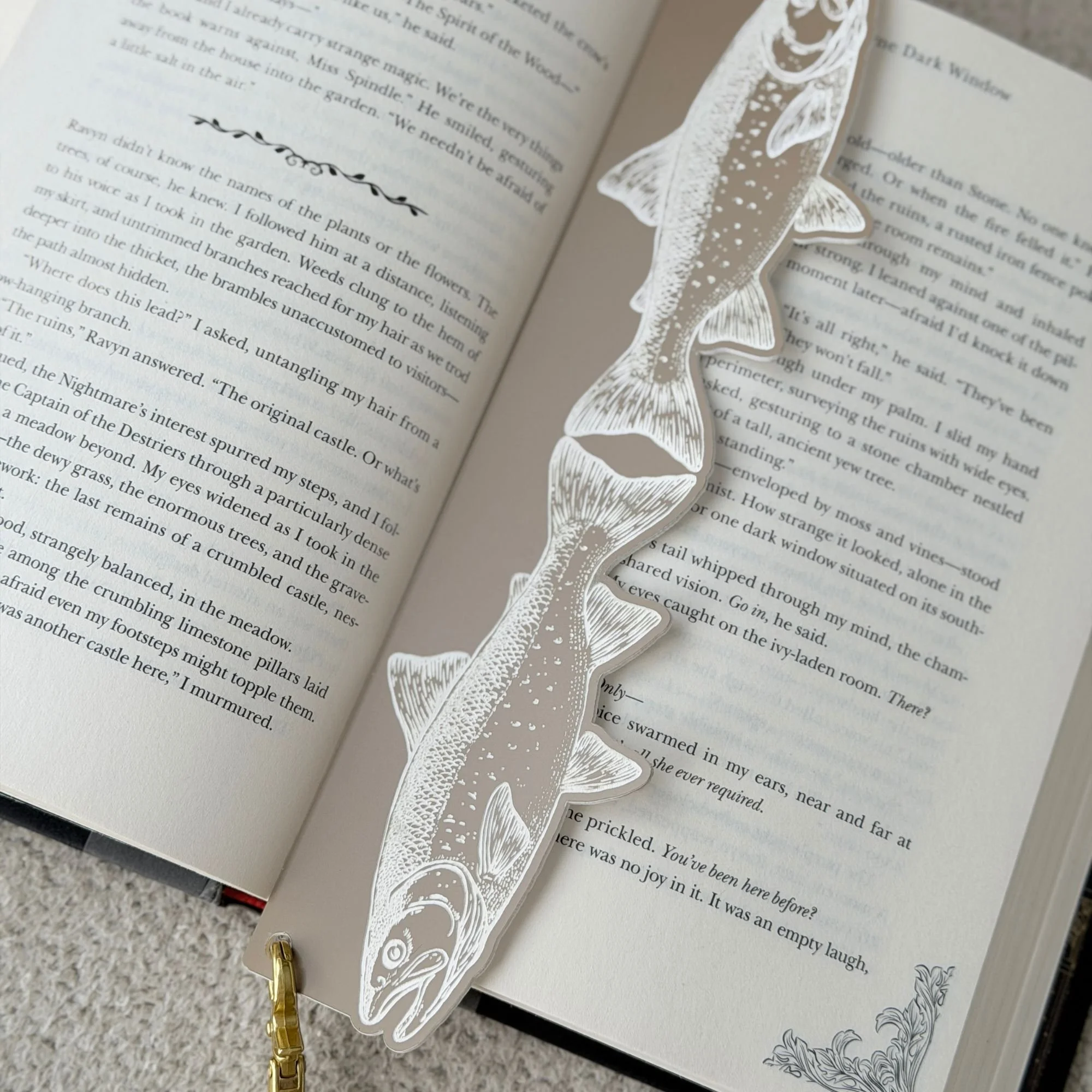 Newtown Website Photos (14).jpg