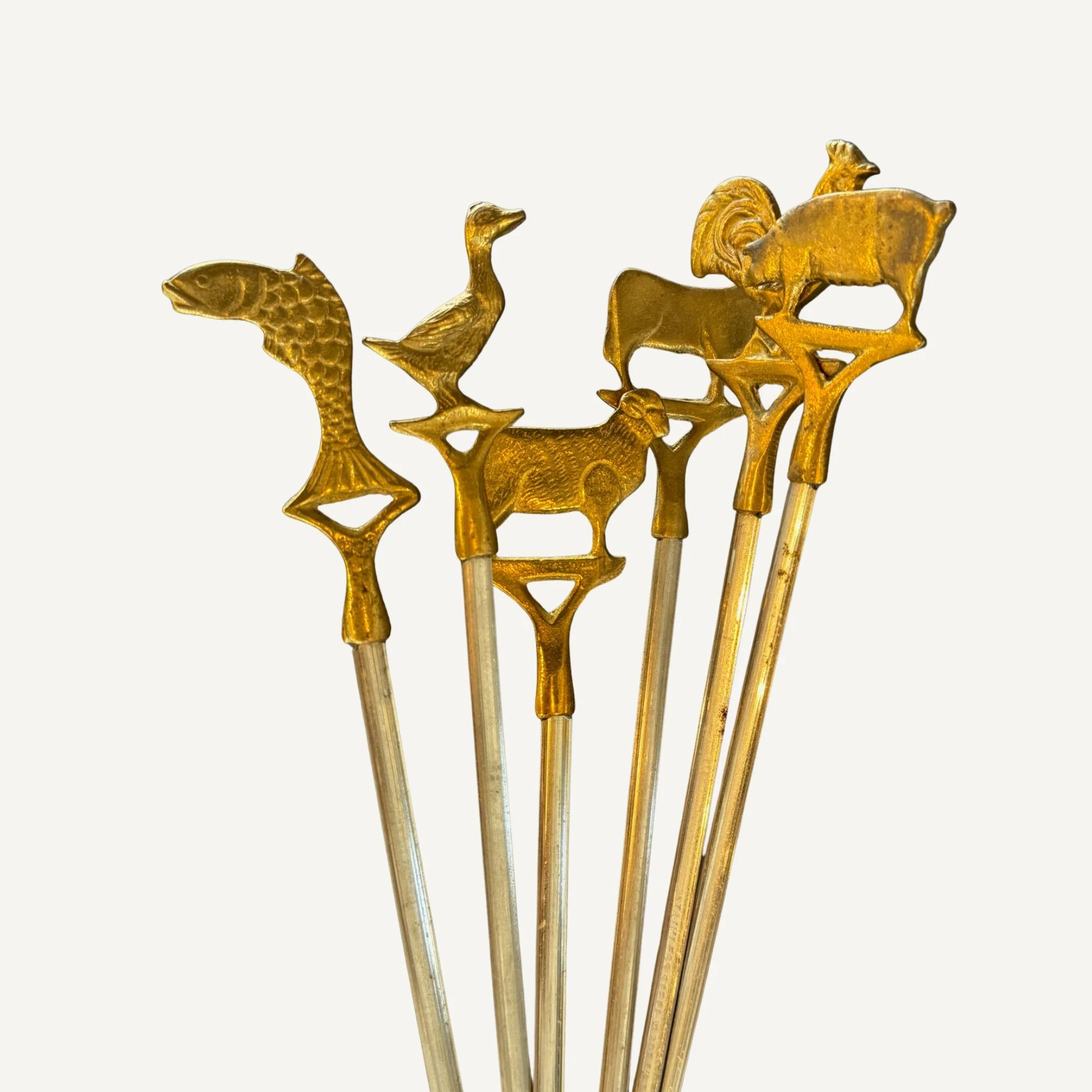 Website Photos - 2026-03-17T130707.316.jpg