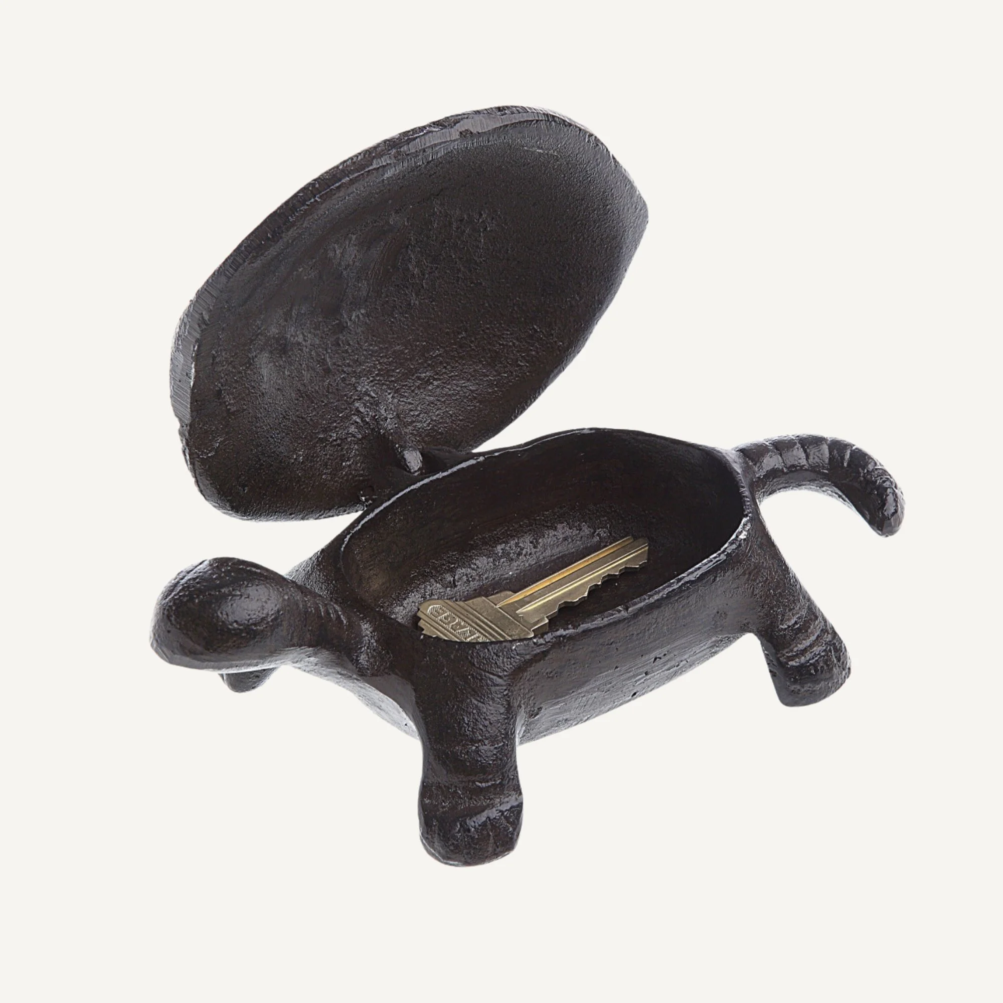 Website Photos - 2026-03-17T115719.498.jpg