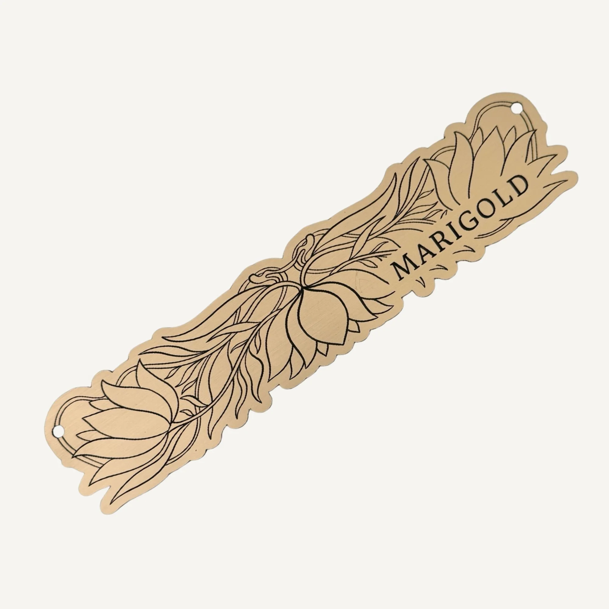 Newtown Website Photos - 2026-02-24T142246.561.jpg