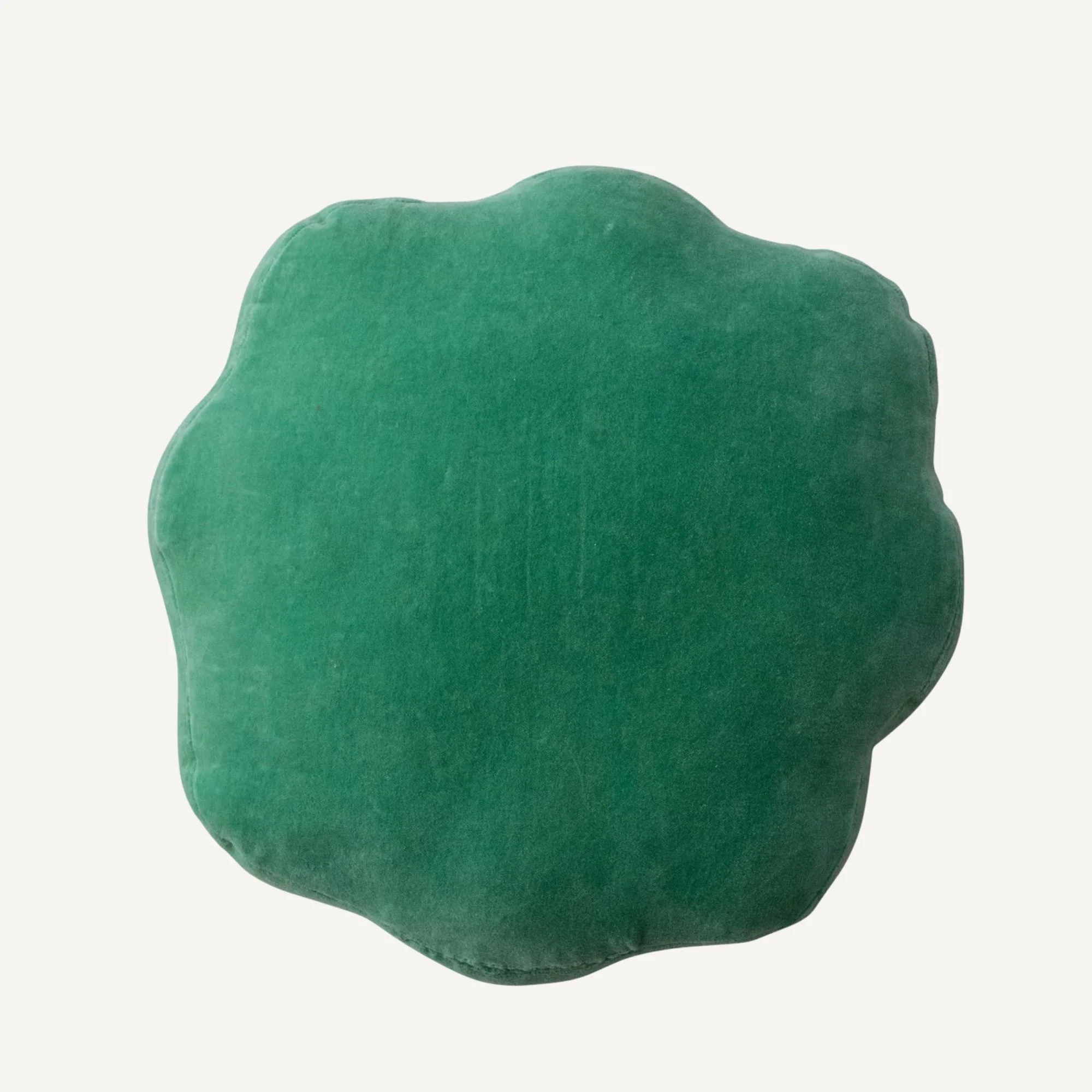 Website Photos - 2026-02-20T150743.184.jpg