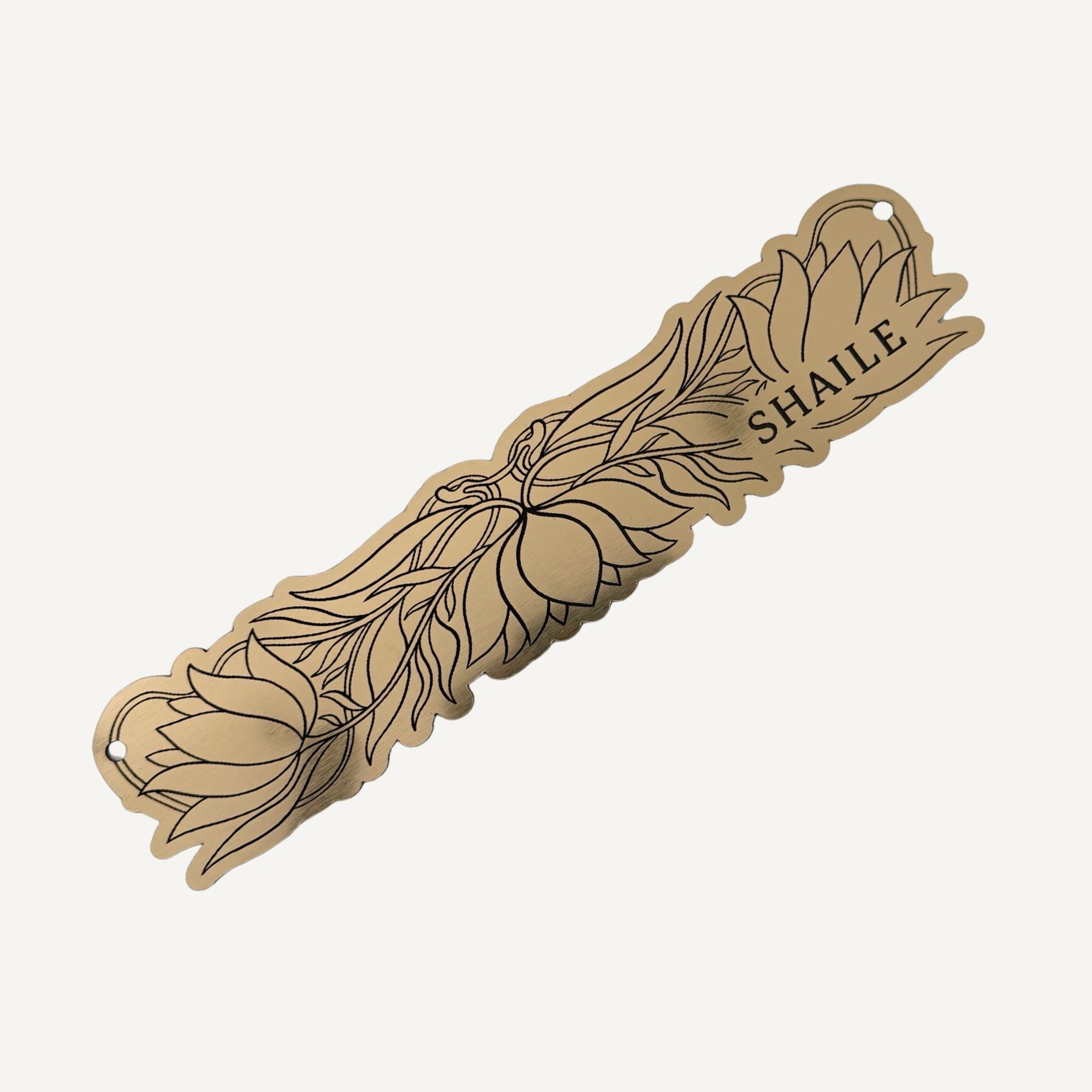 Newtown Website Photos - 2026-02-24T140107.268.jpg