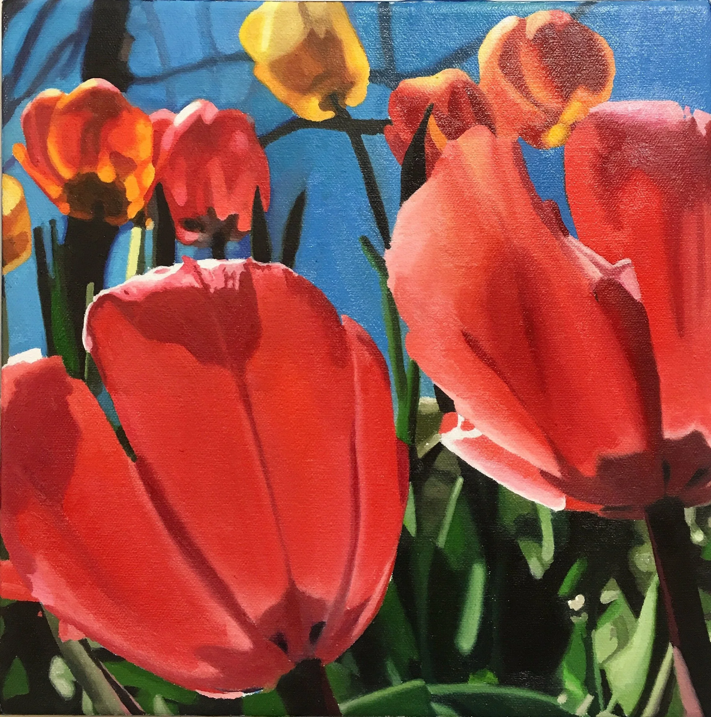TULIPS, 2016, OIL ON CANVAS, 12 X 12 X 1 1/2 INCHES
