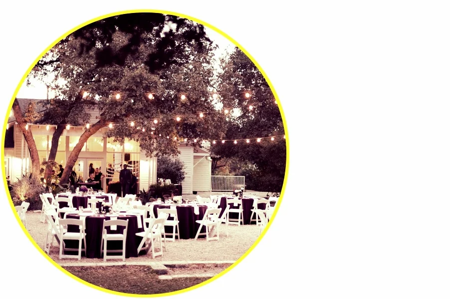 The Wedding