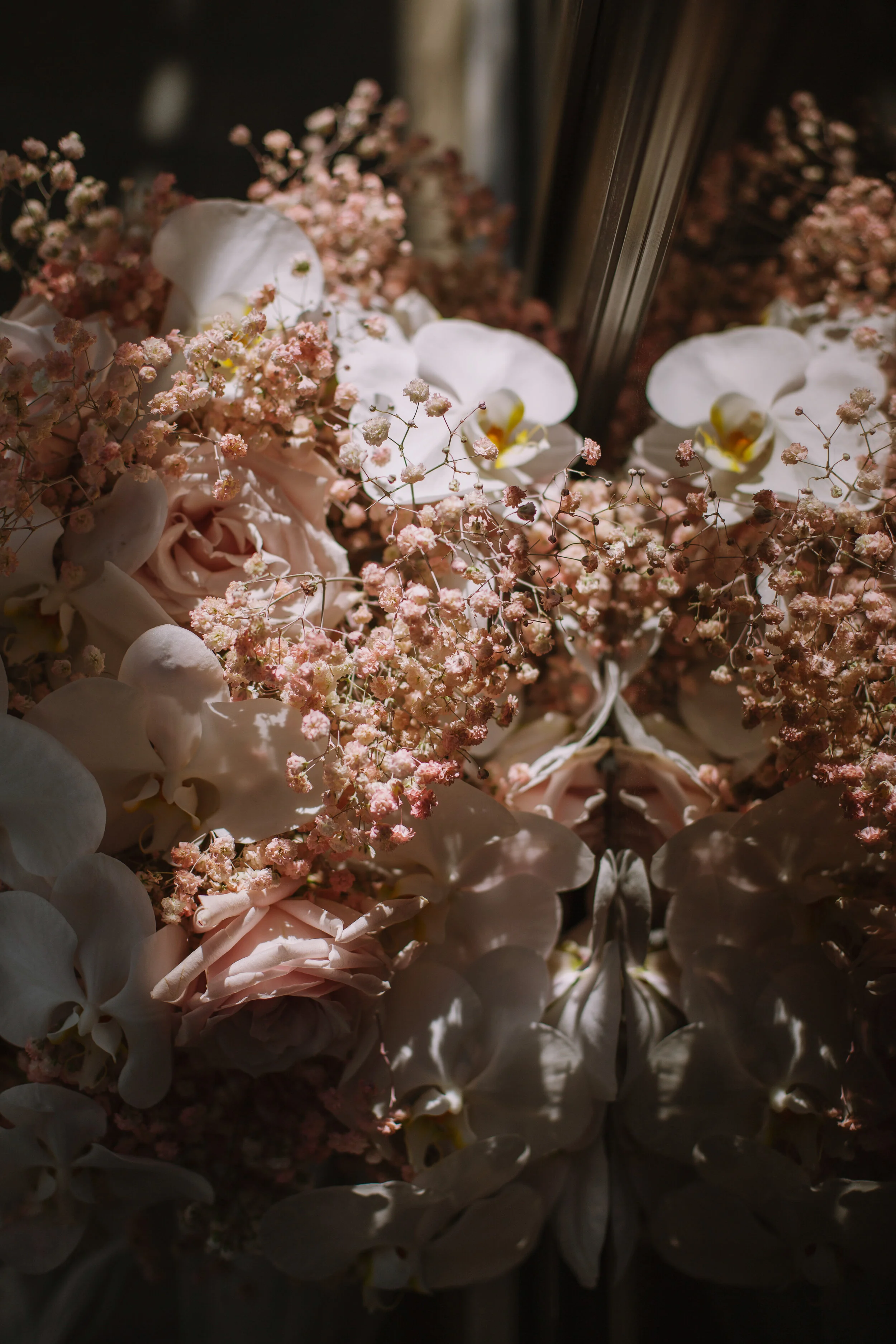 Basema Mohamed Arlington Estate Aya Dajani Photography