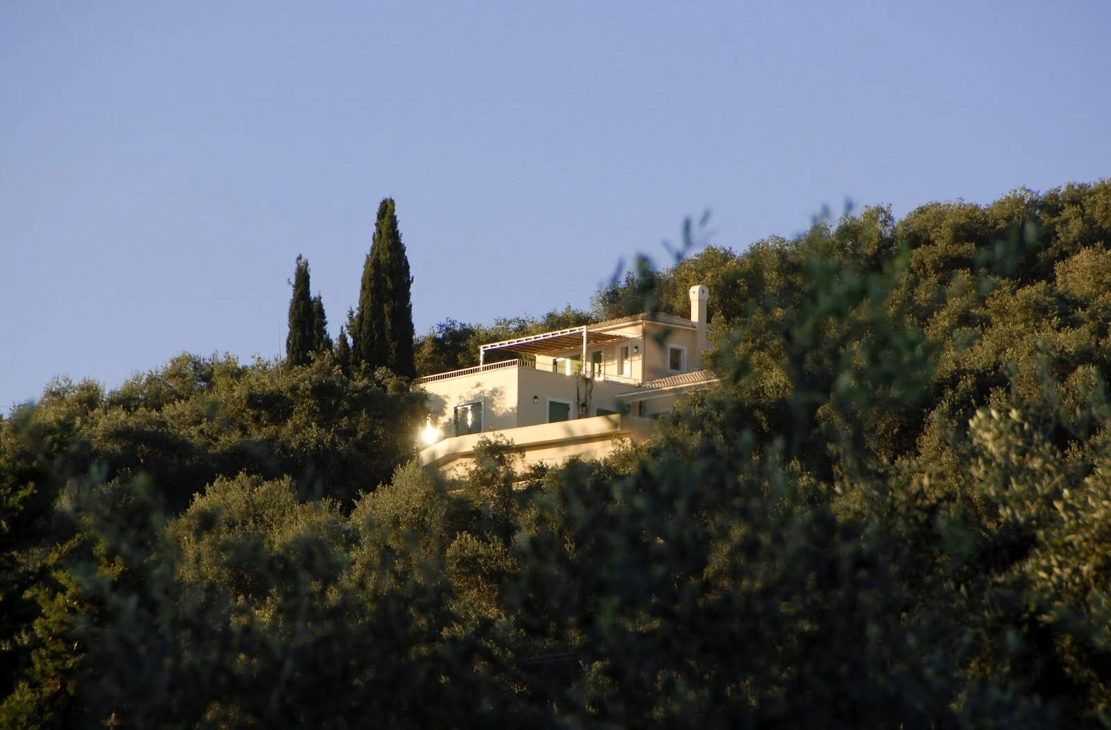 olive - cypress - villa