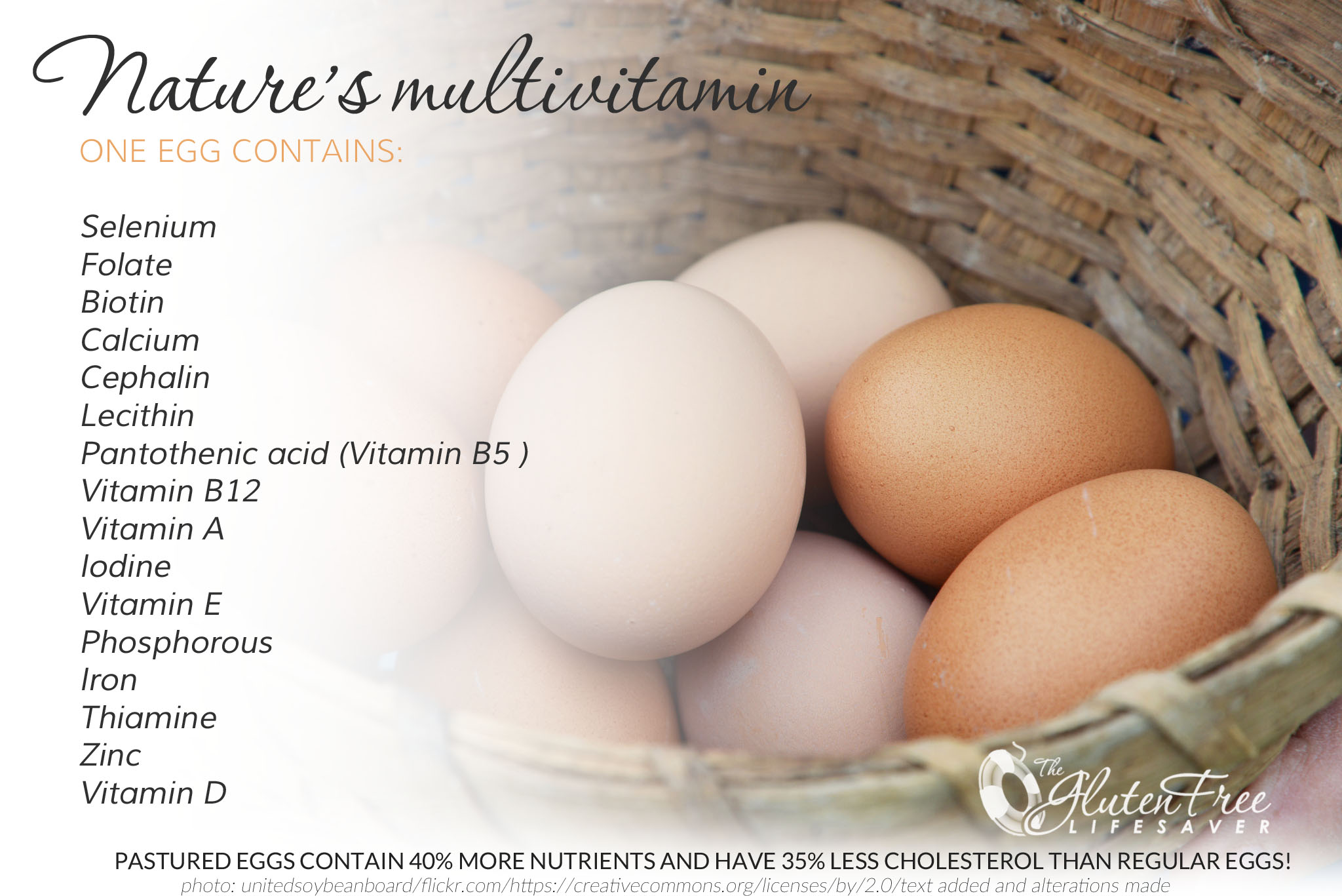 nutroients.in.egg.yolk.jpg