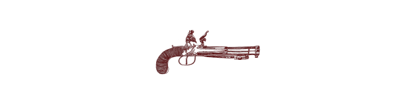 gun_1.png