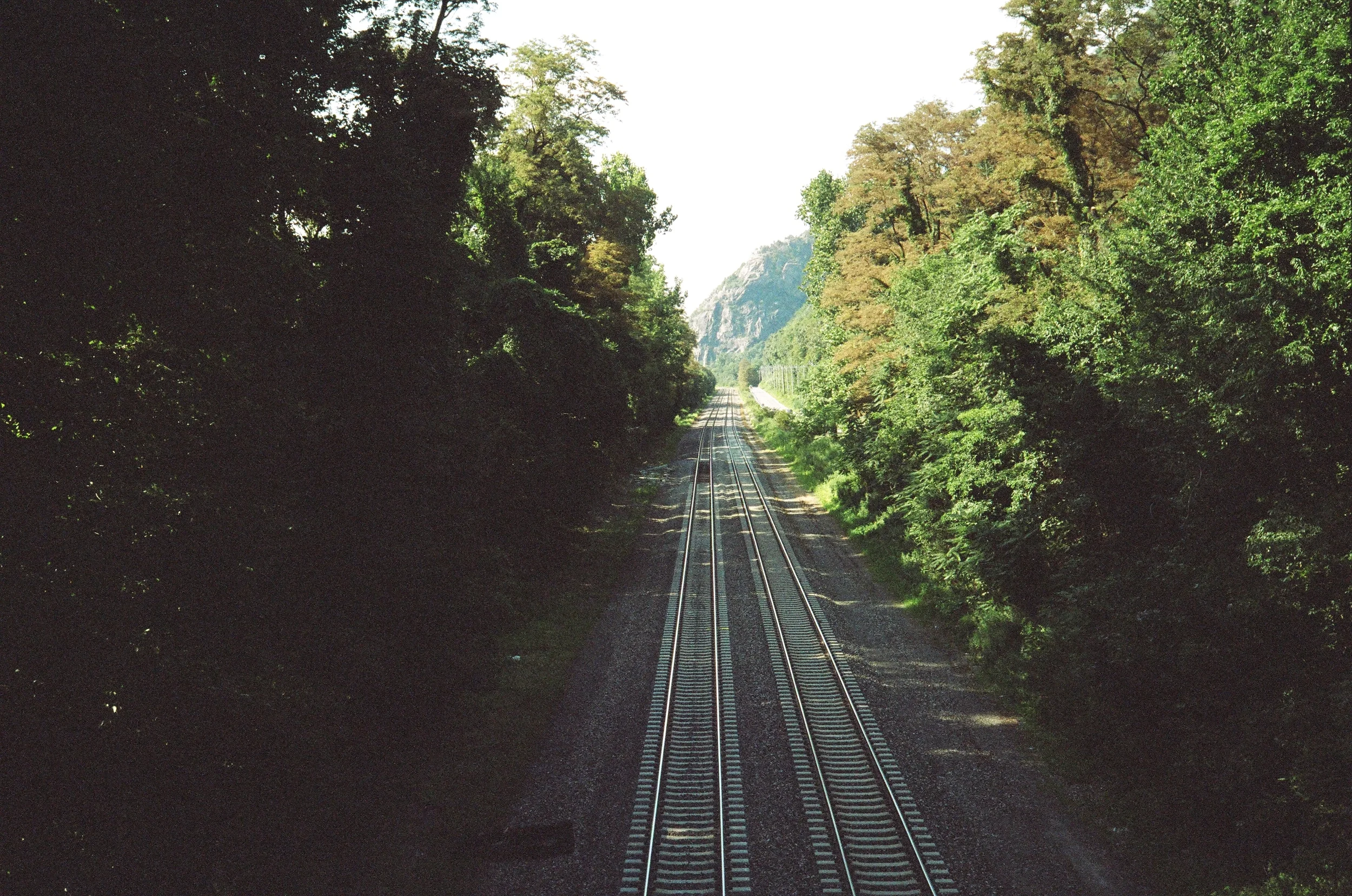 58090025.JPG