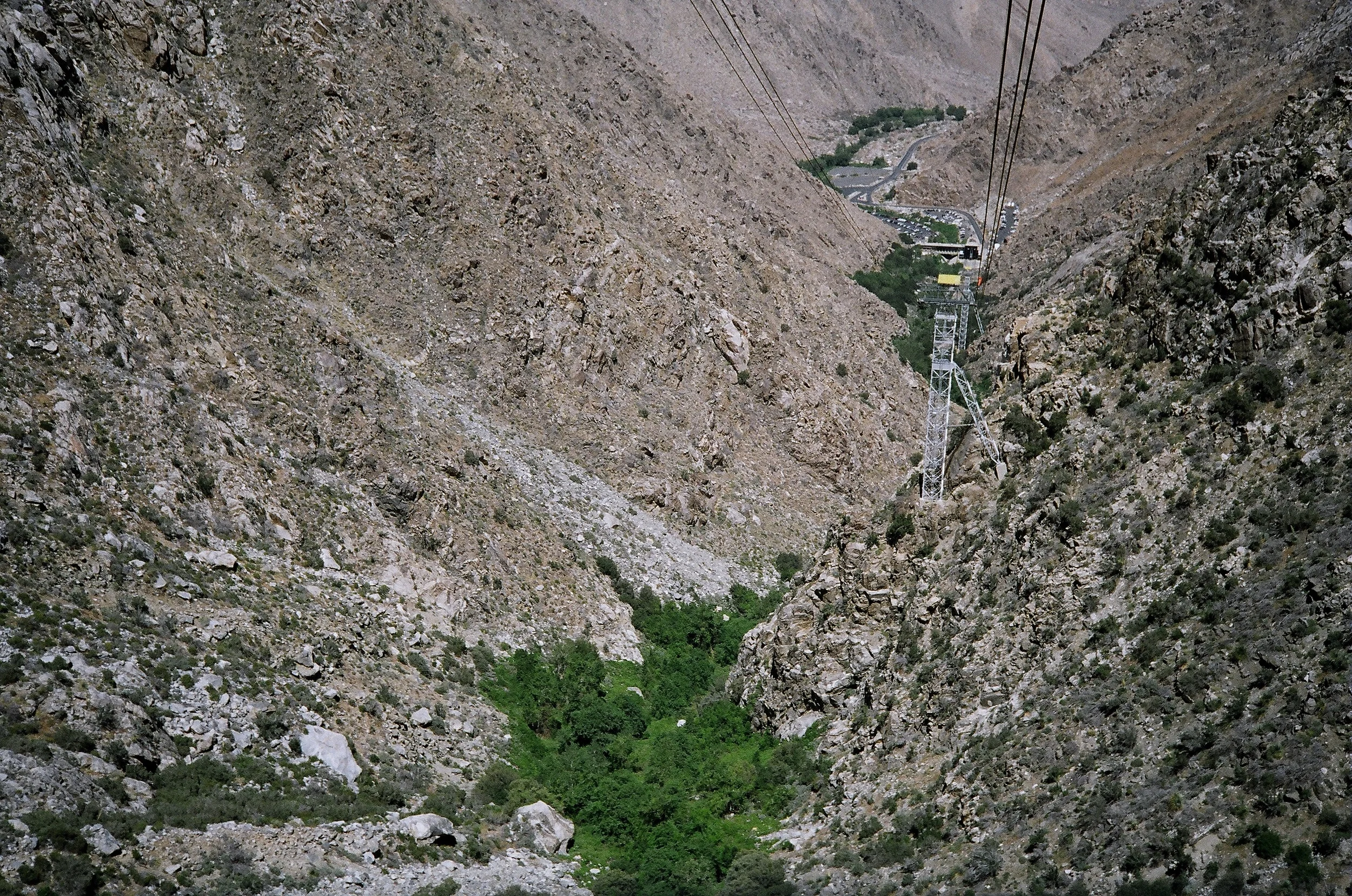 24590024.JPG