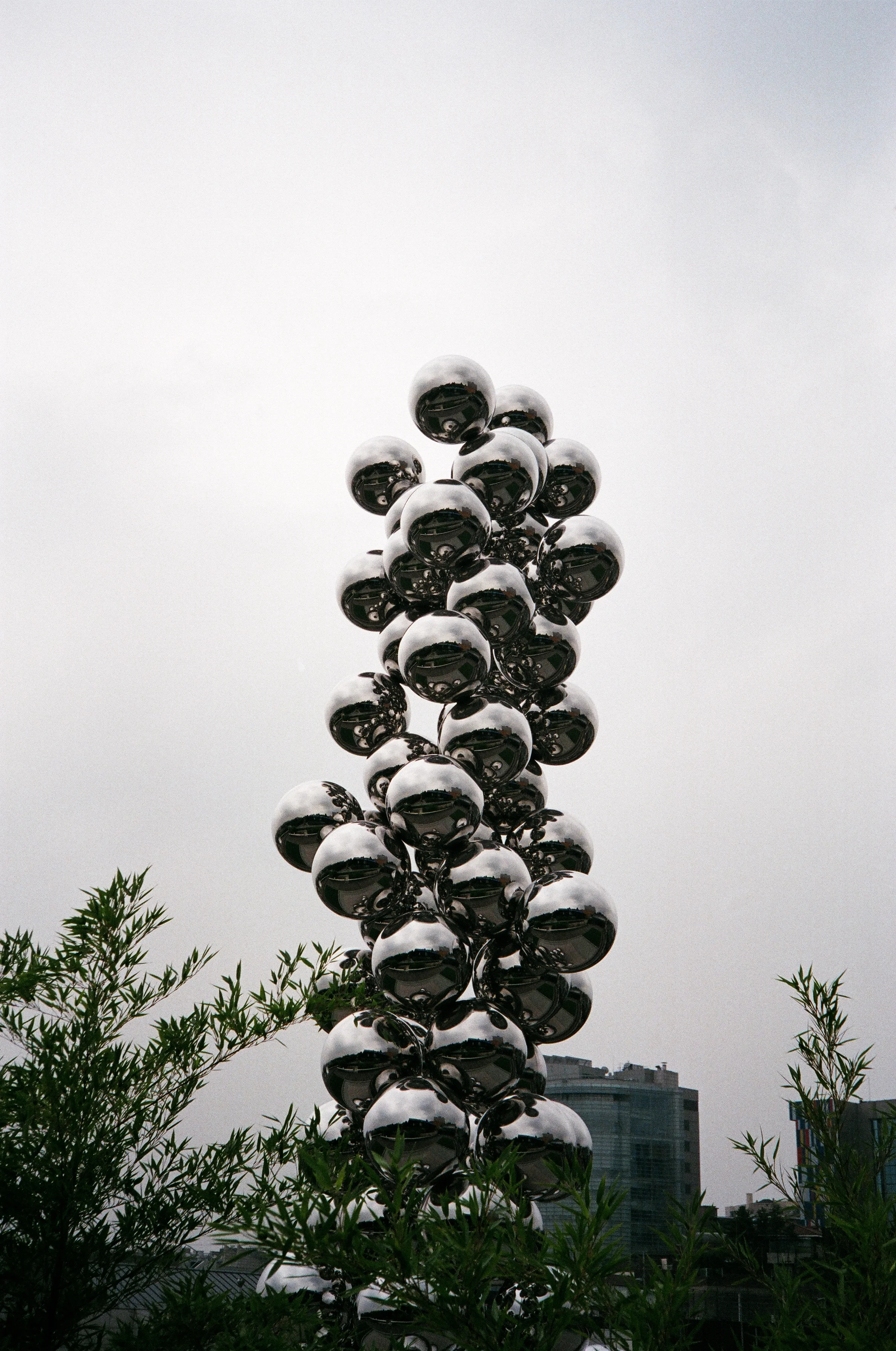 51240009.JPG