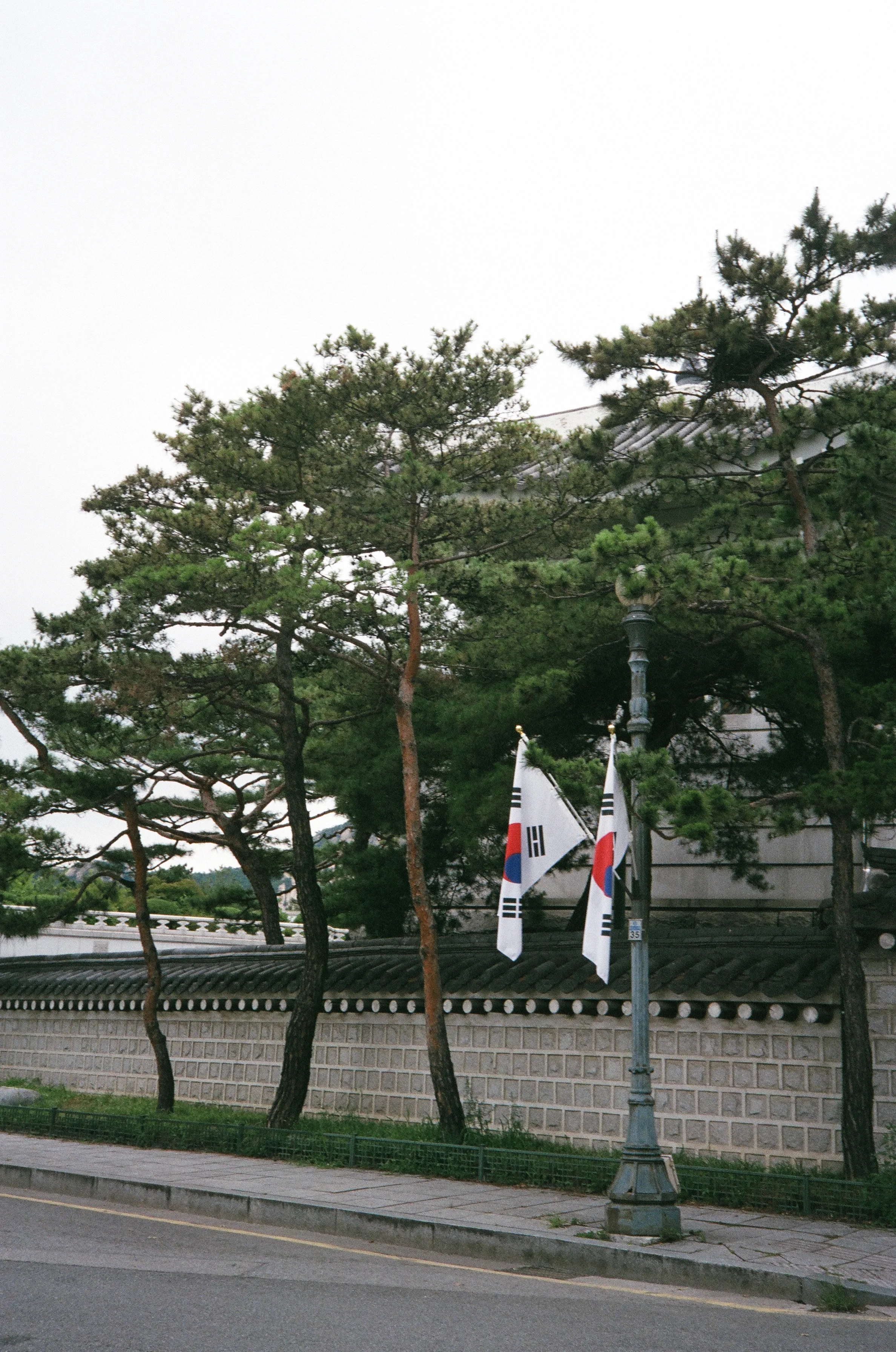 51240025.JPG