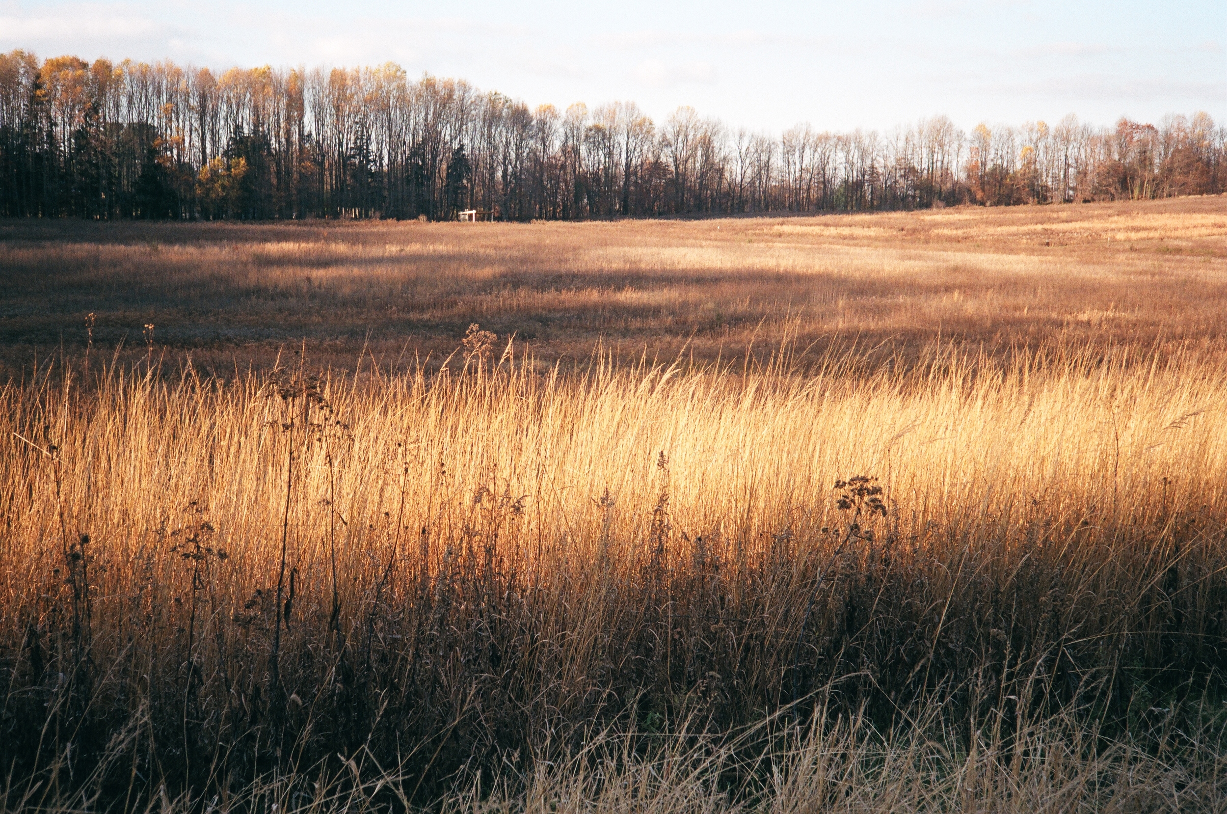 45820012.JPG