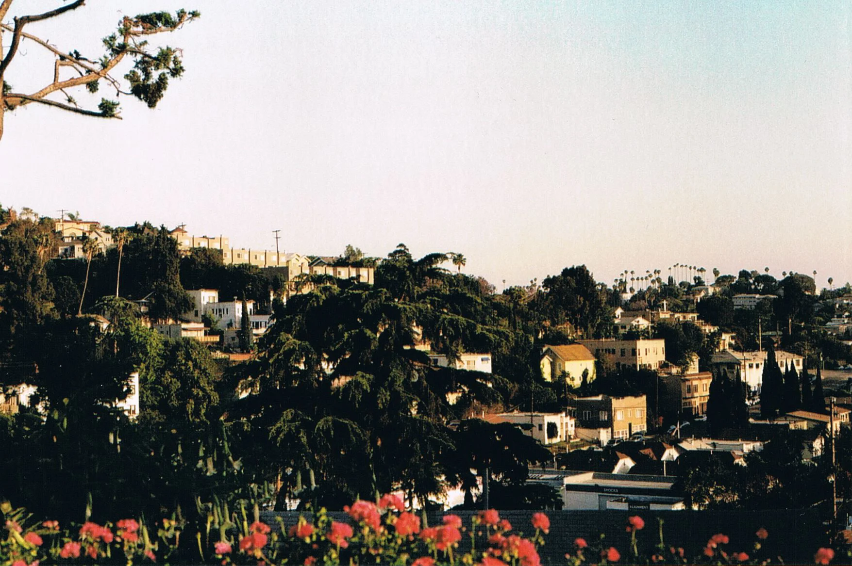 CCF11082010_00052.jpg