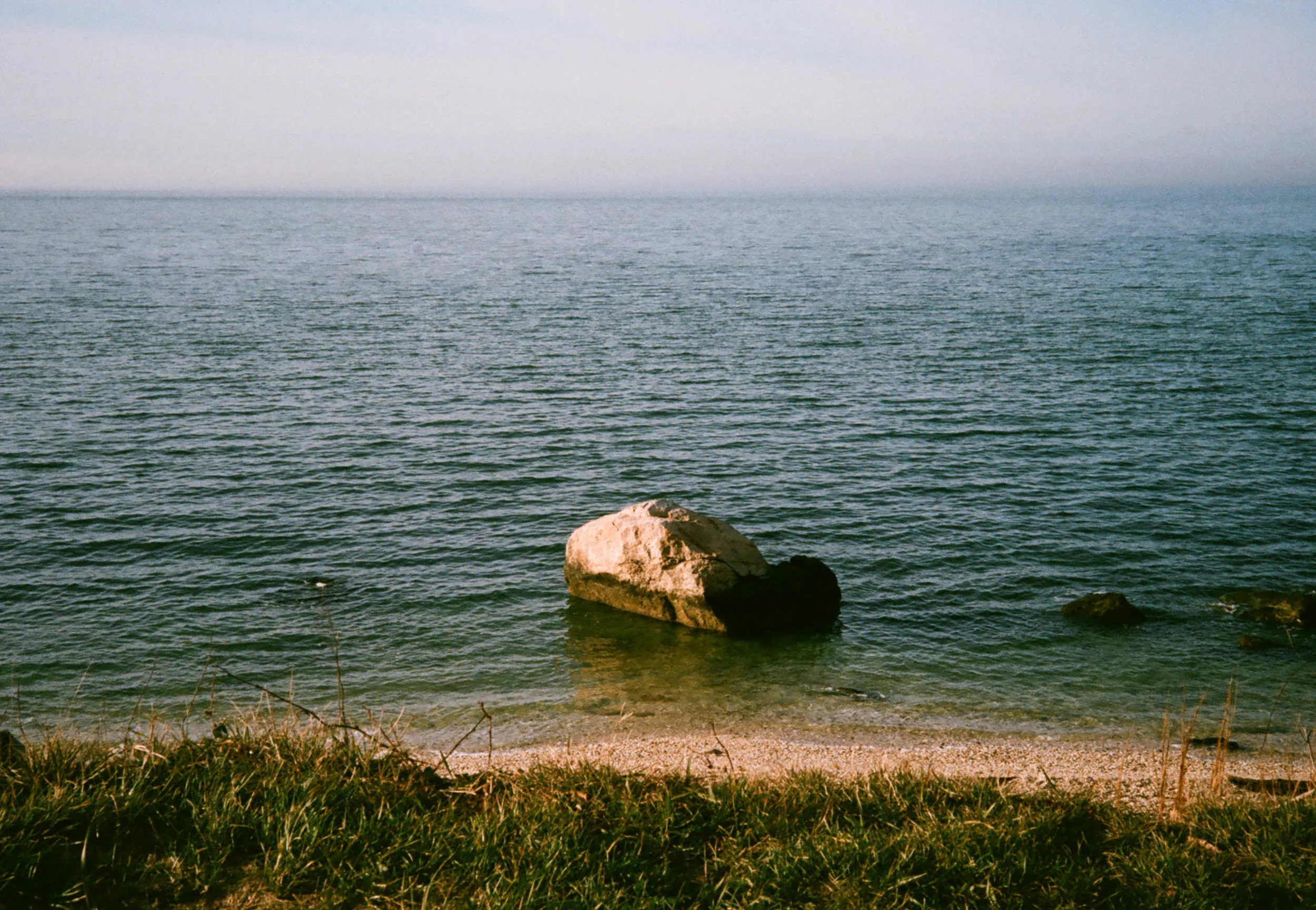09960020.jpg