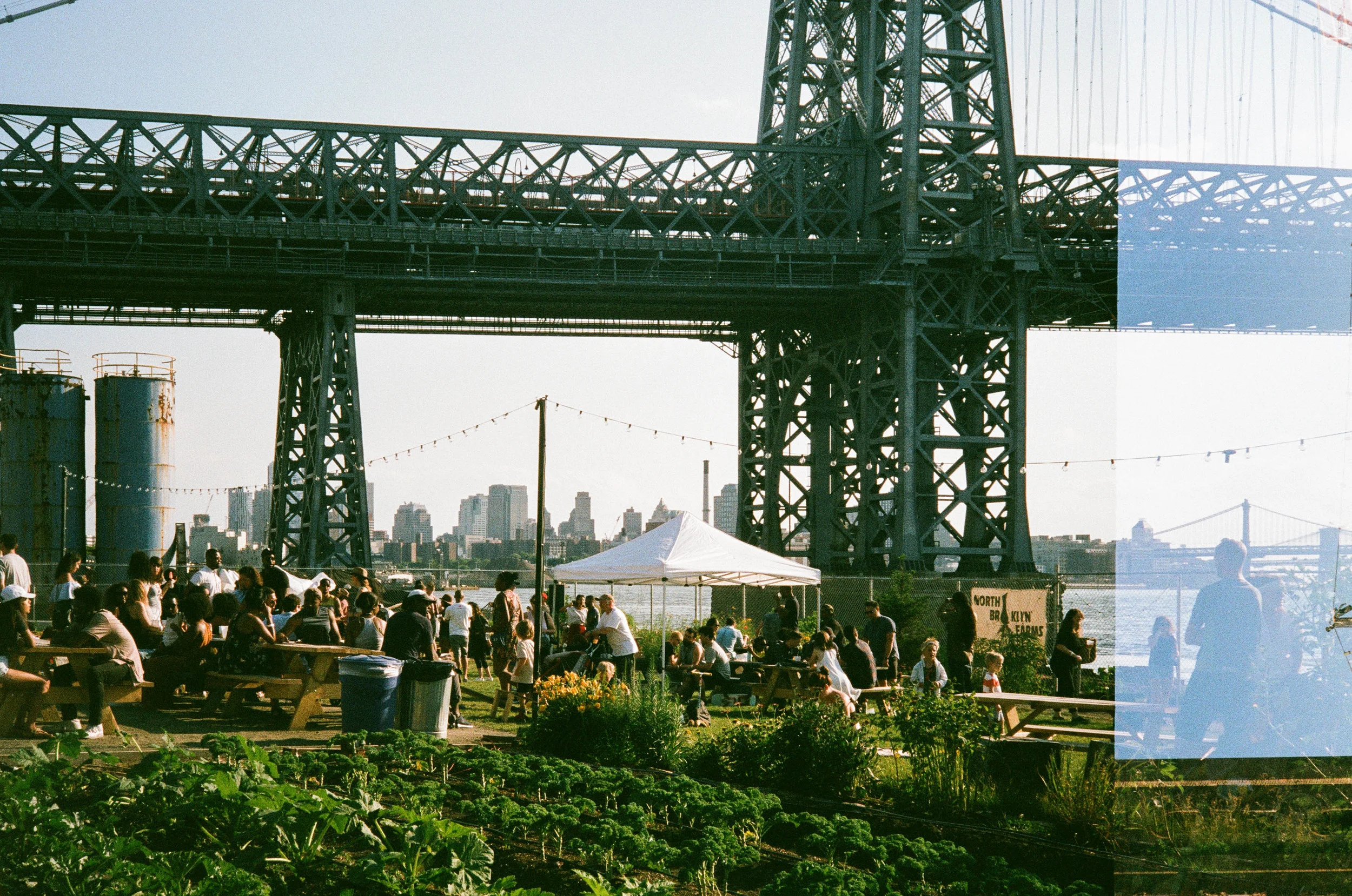 13240026-2.jpg