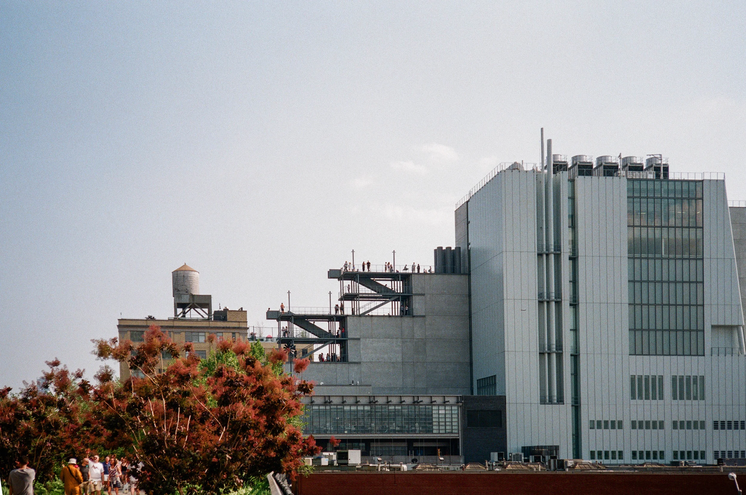 13240010-2.jpg