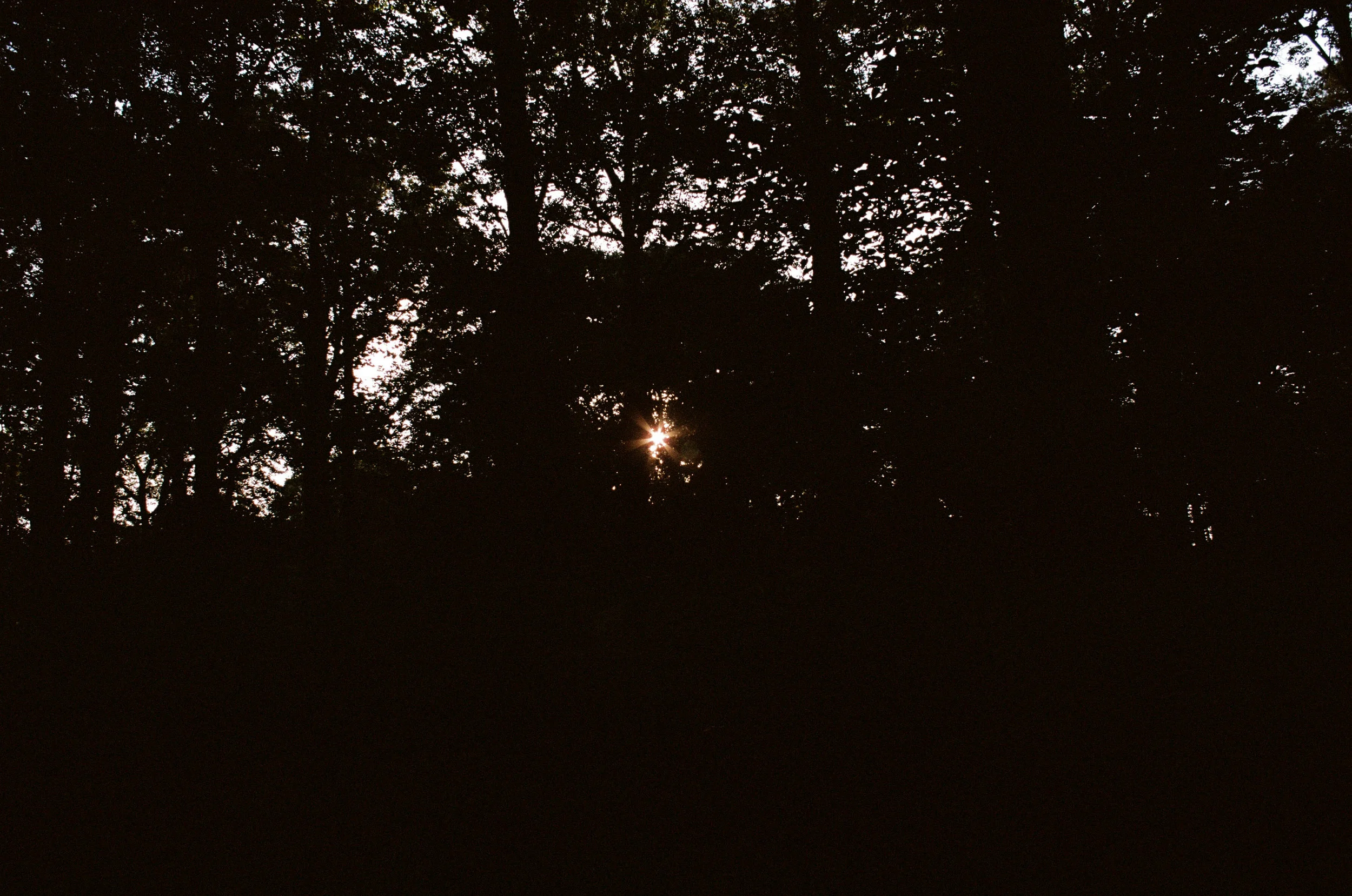 13270026-2.jpg