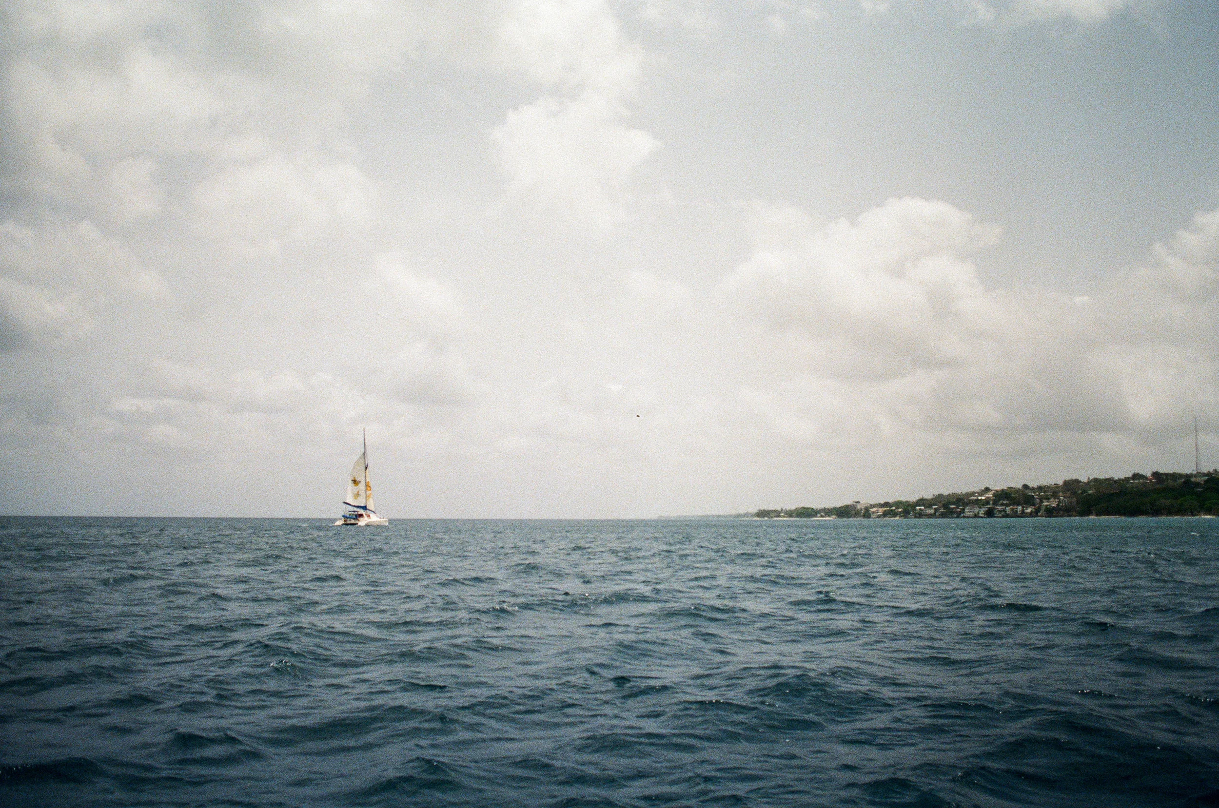 13260014-2.jpg