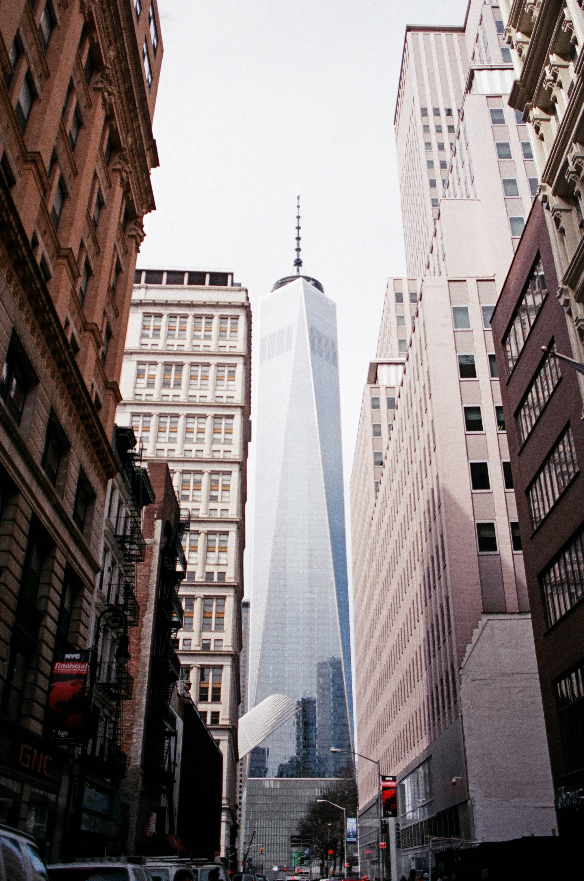 24750005-2.jpg