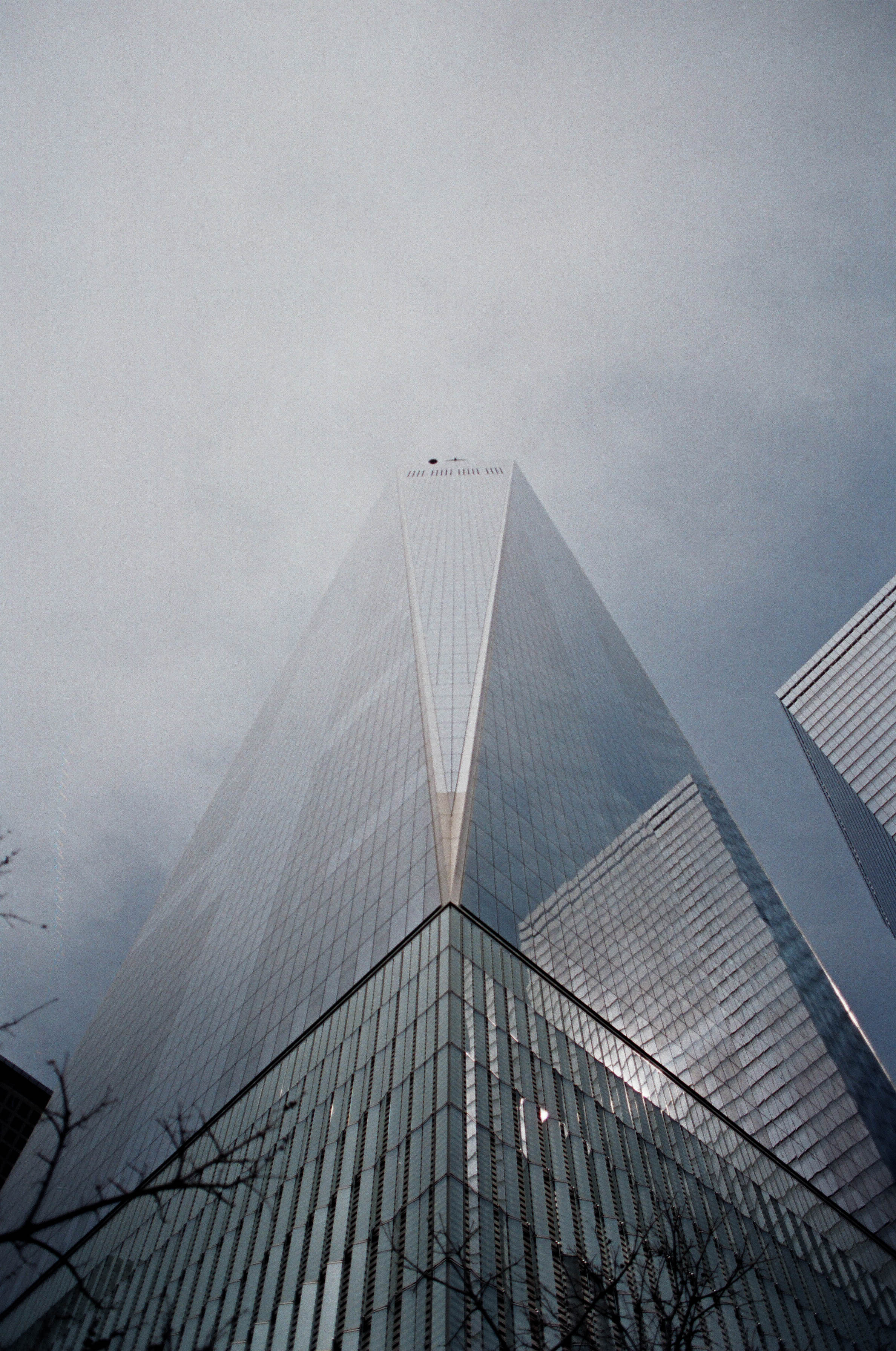 24750010-2.jpg