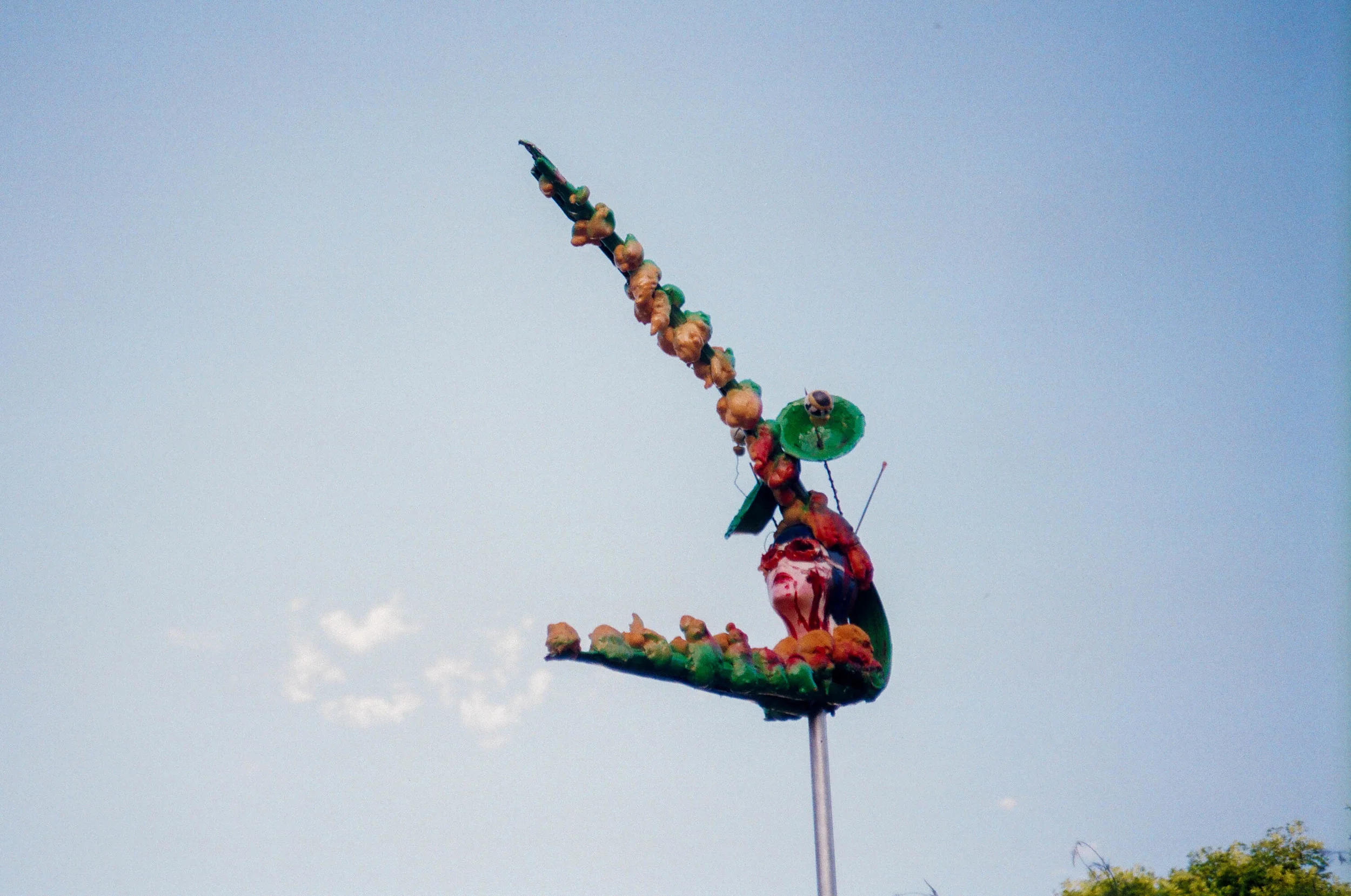 24780021-2.jpg