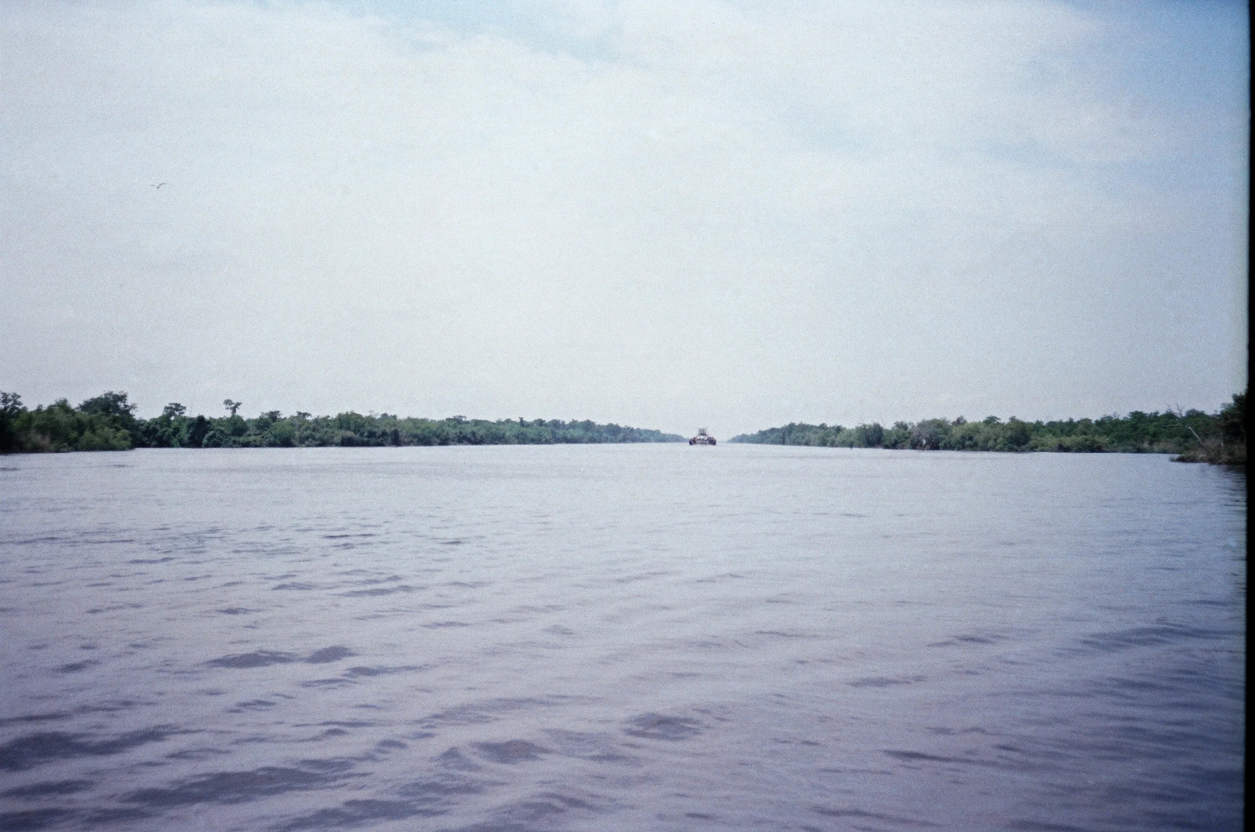 24770011-2.jpg