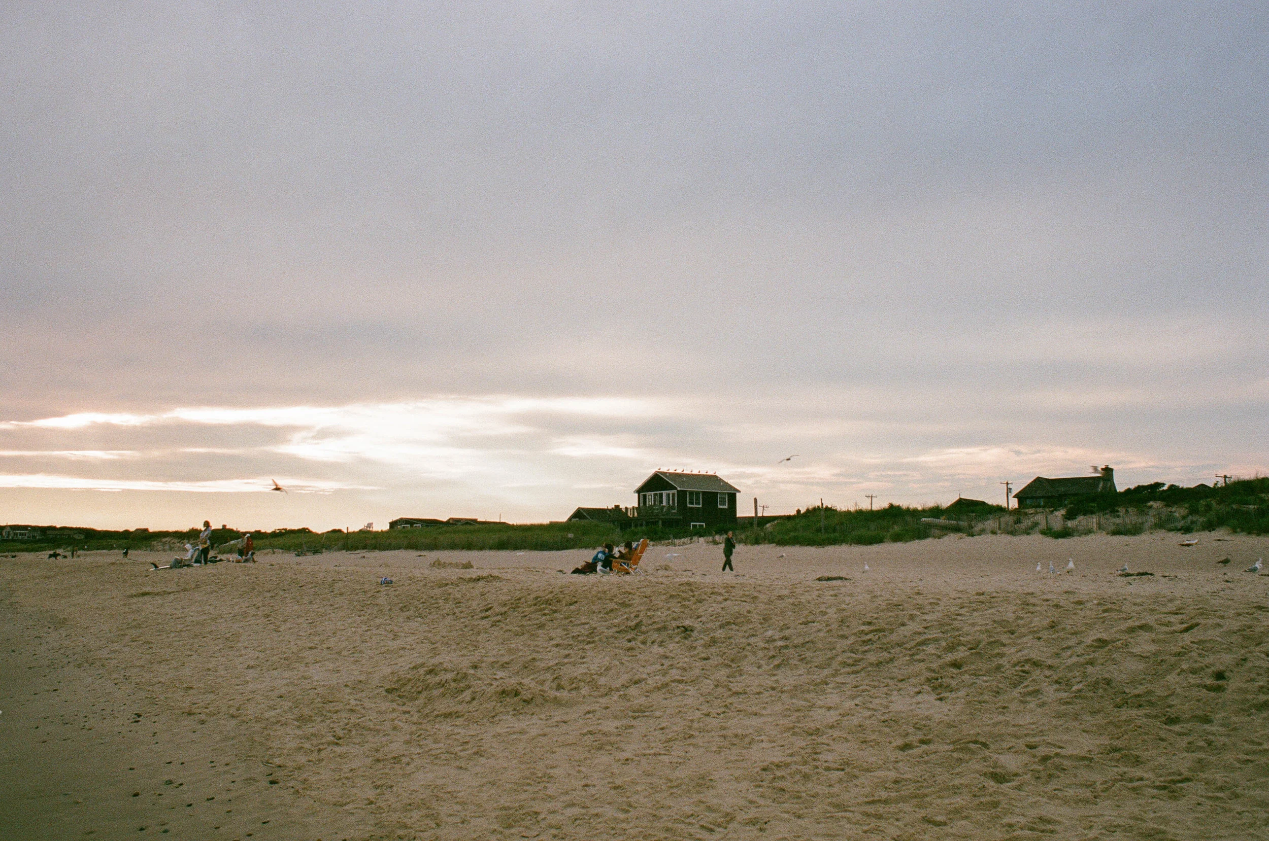 38560007.jpg