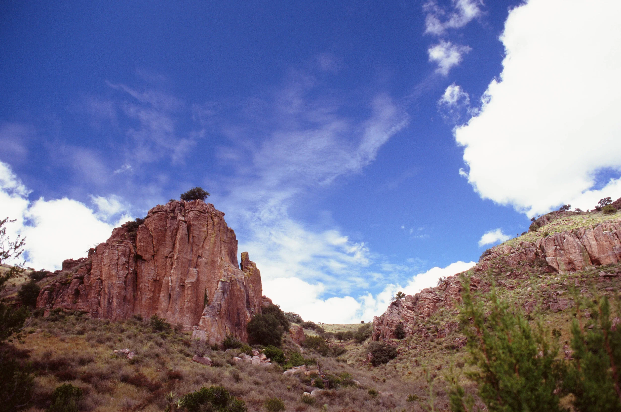 08270028.jpg