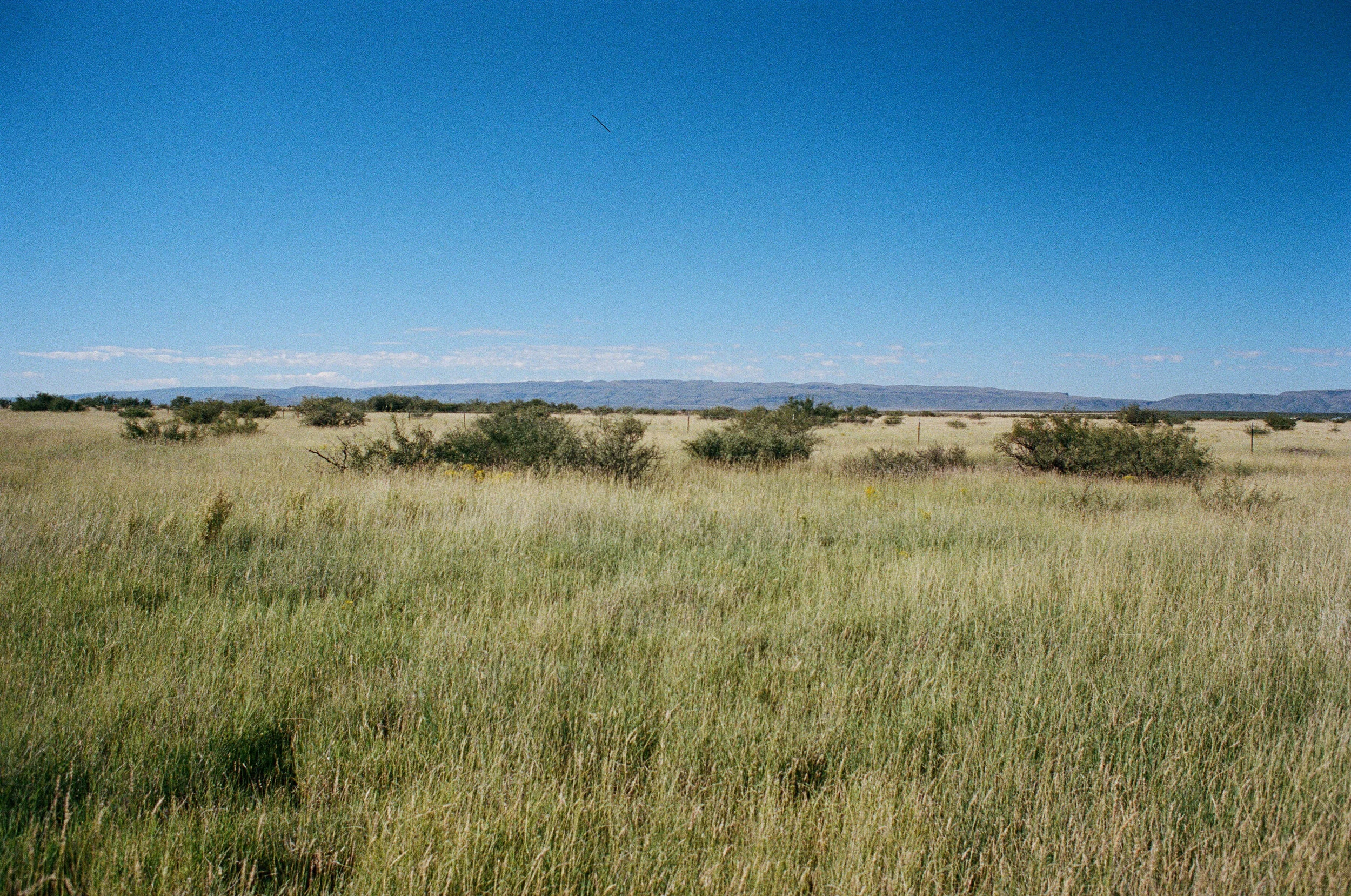 05240033.jpg