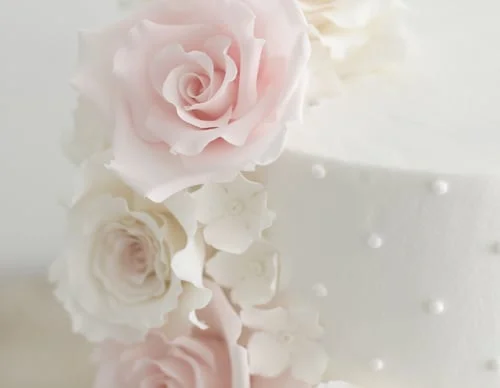 roses.jpg