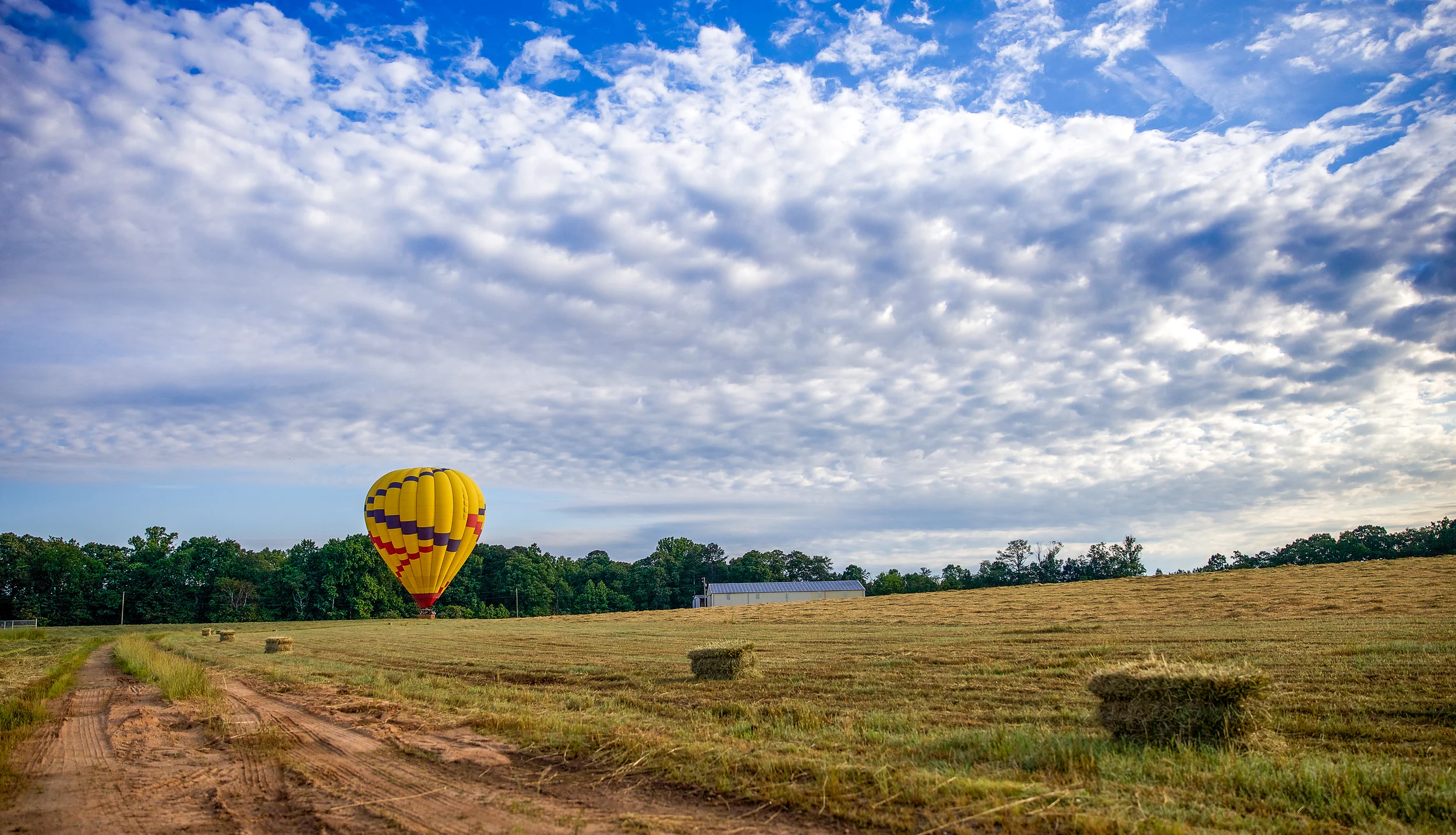 IMG_1081 - Version 2-2.jpg