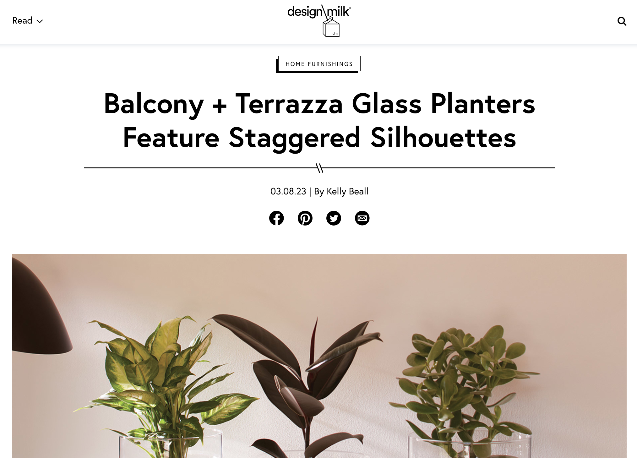 Design Milk feature on LSA International's Self-Watering Planters