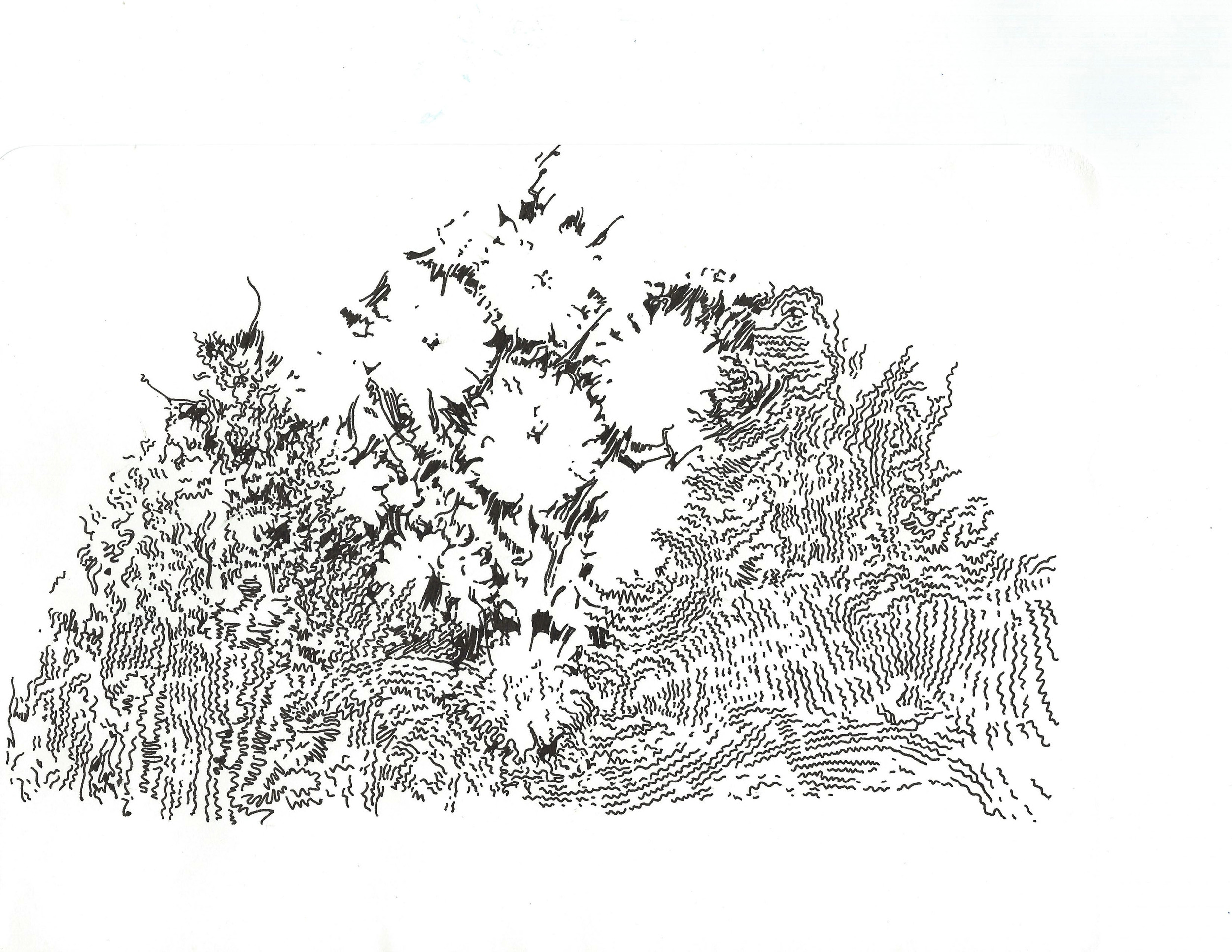 dcree_sqlakeroughmurallayout2_2014.jpg