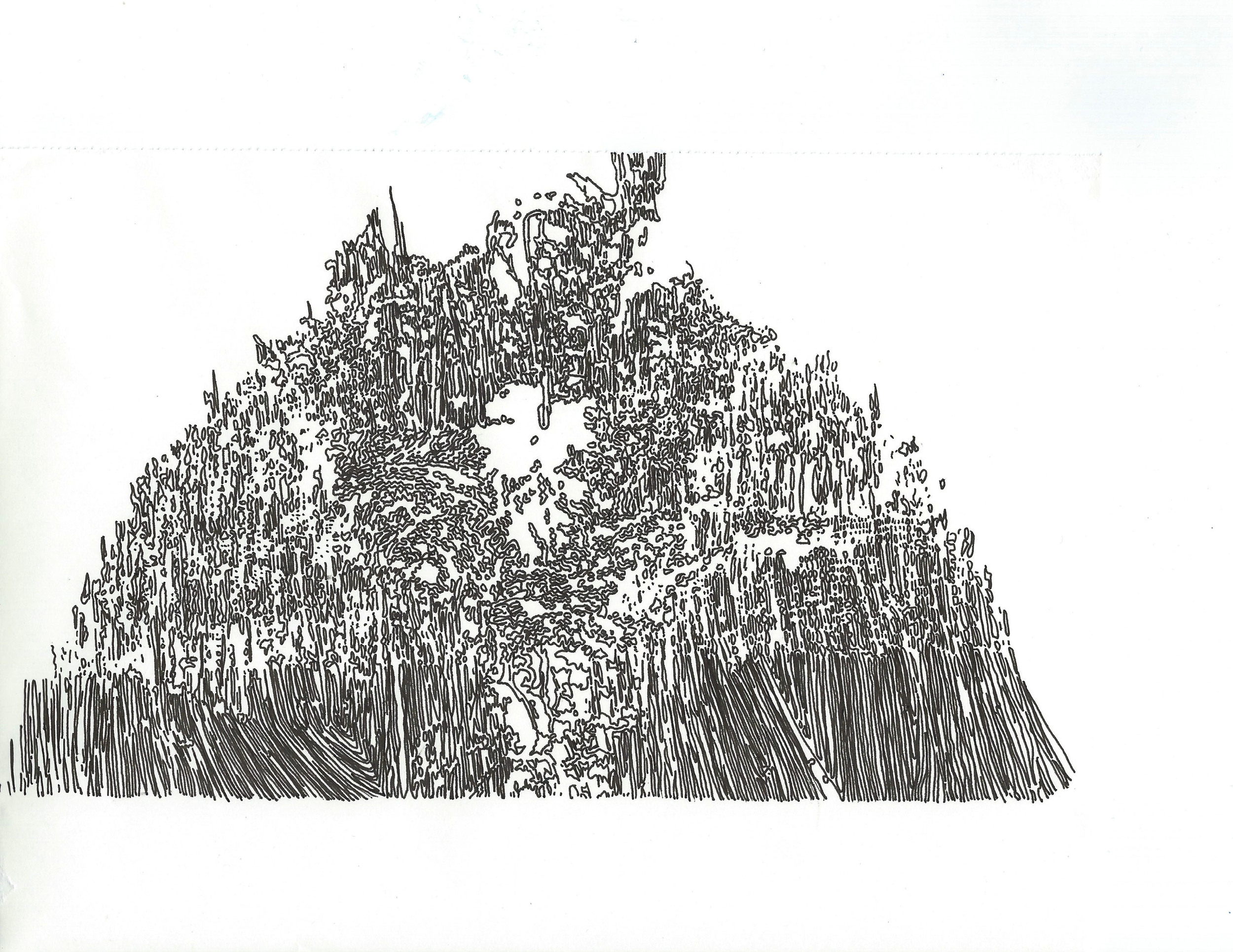 dcree_sqlakeroughmurallayout1_2014.jpg