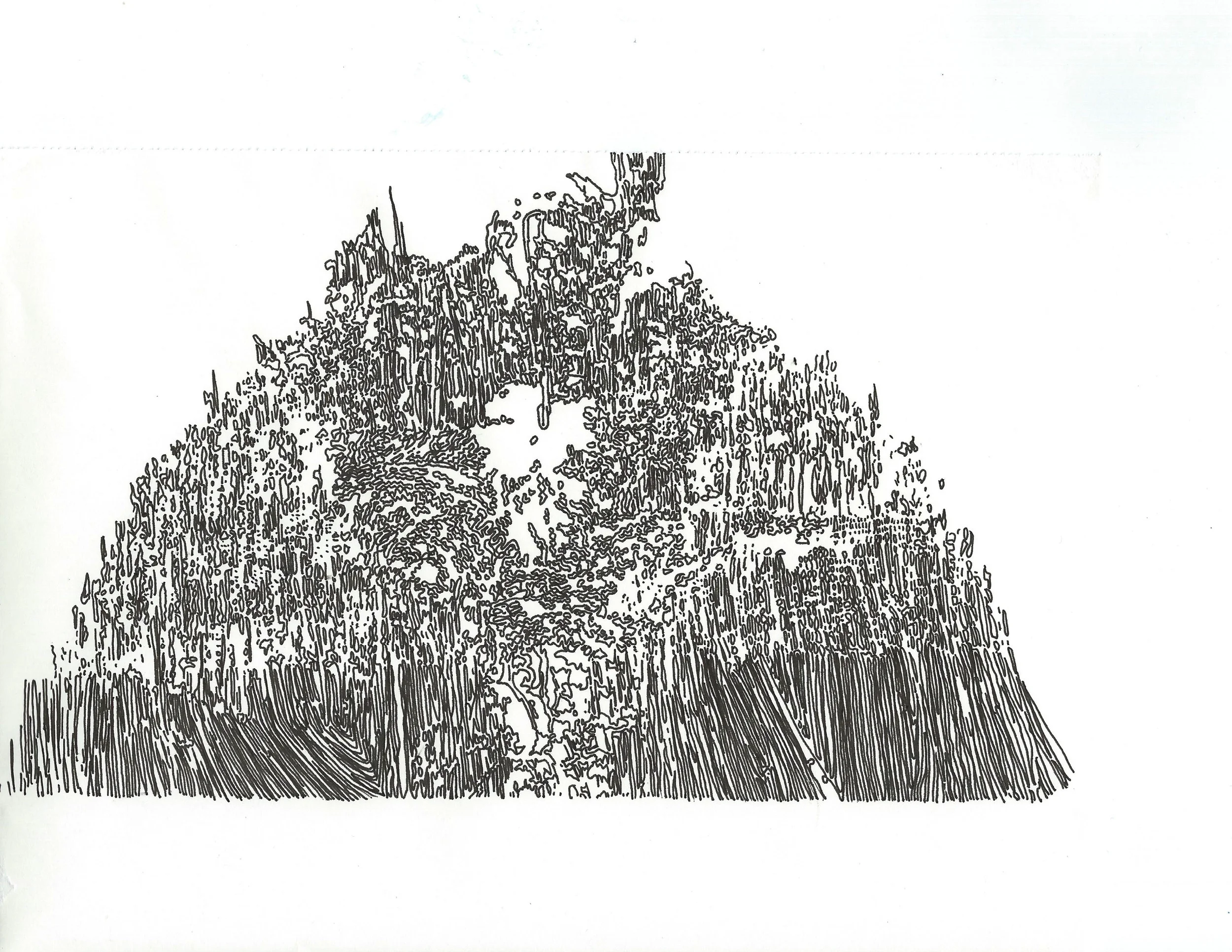 dcree_sqlakeroughmurallayout1_2014.jpg