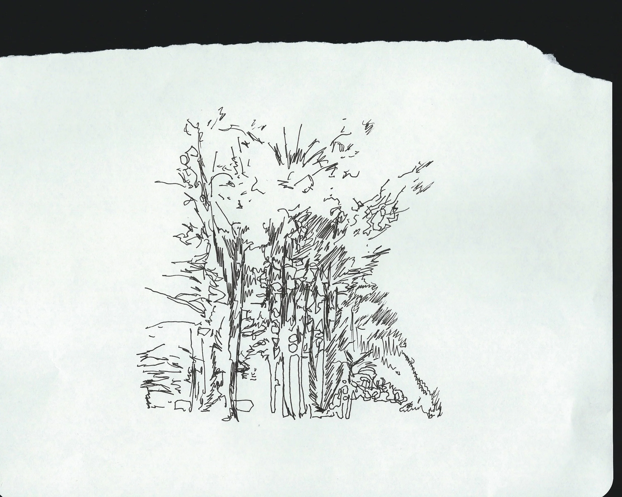 dcree_sqlakedrawing_2014-1.jpg