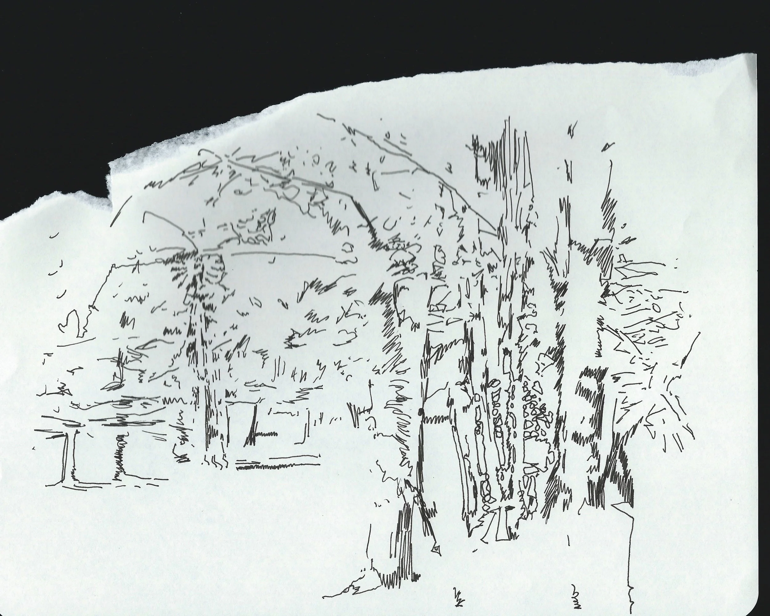 dcree_sqlakedrawing_2014-3.jpg