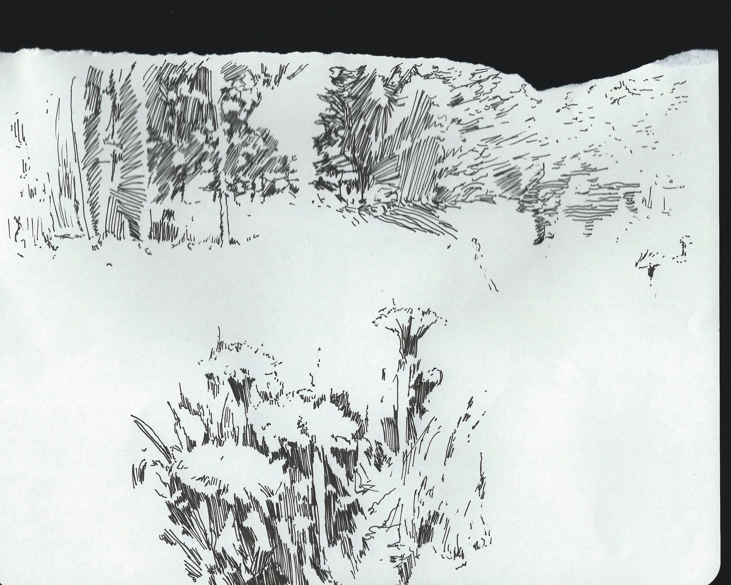 dcree_sqlakedrawing_2014-9.jpg