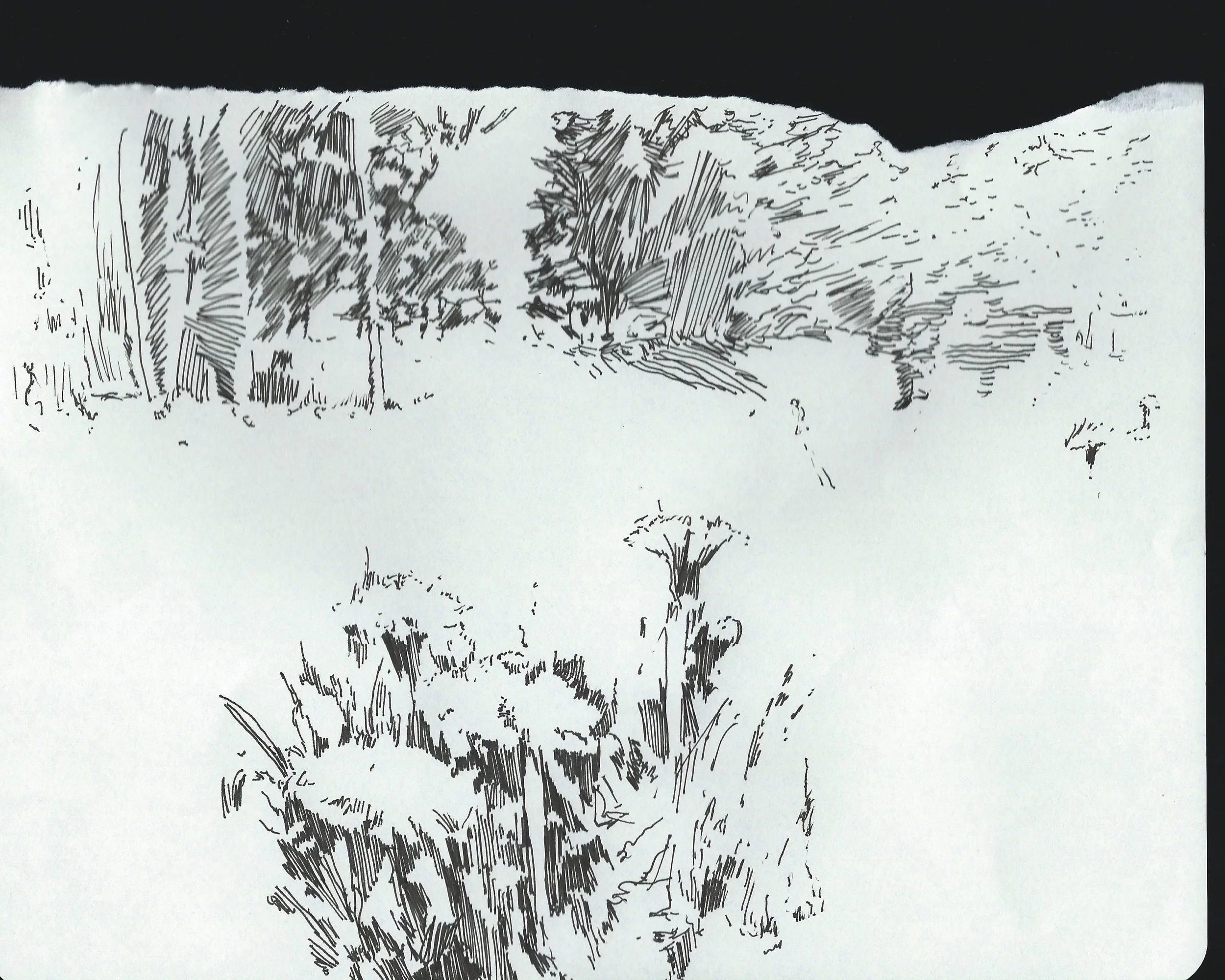 dcree_sqlakedrawing_2014-9.jpg