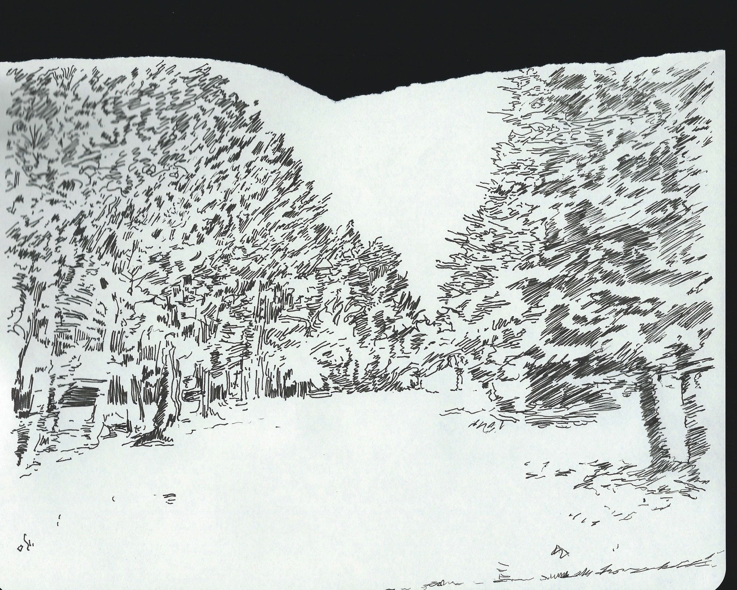 dcree_sqlakedrawing_2014-11.jpg