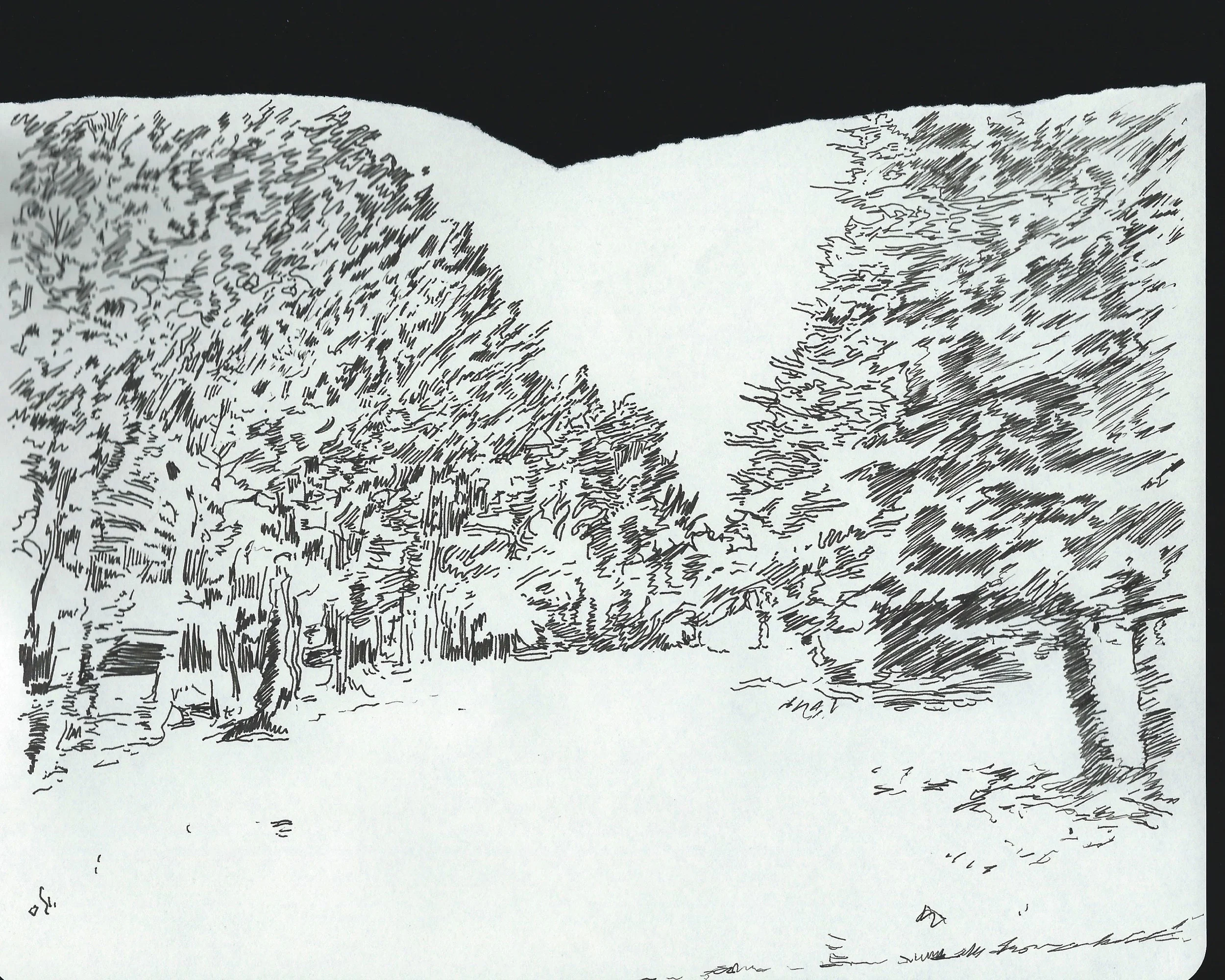 dcree_sqlakedrawing_2014-11.jpg