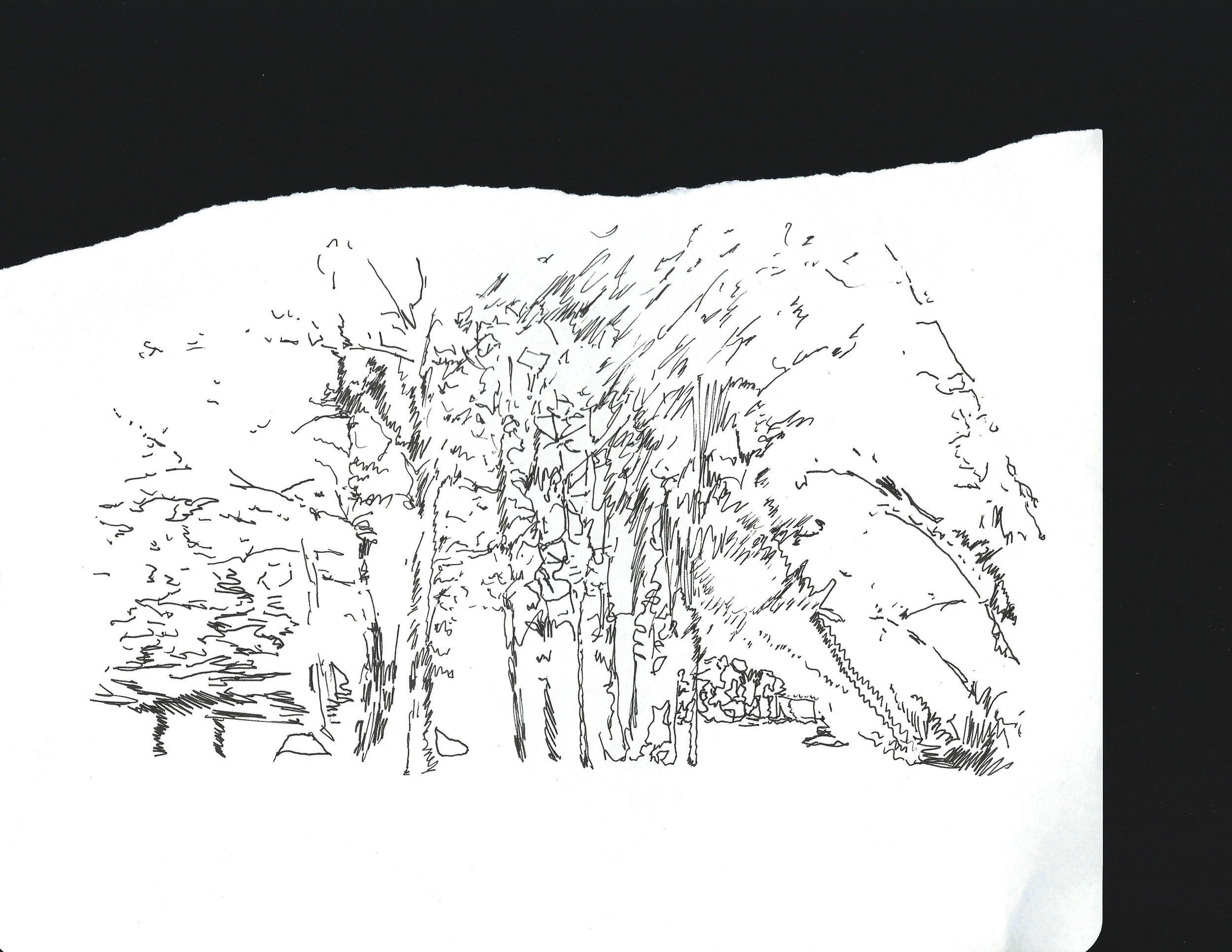 dcree_sqlakedrawing_2014.jpg