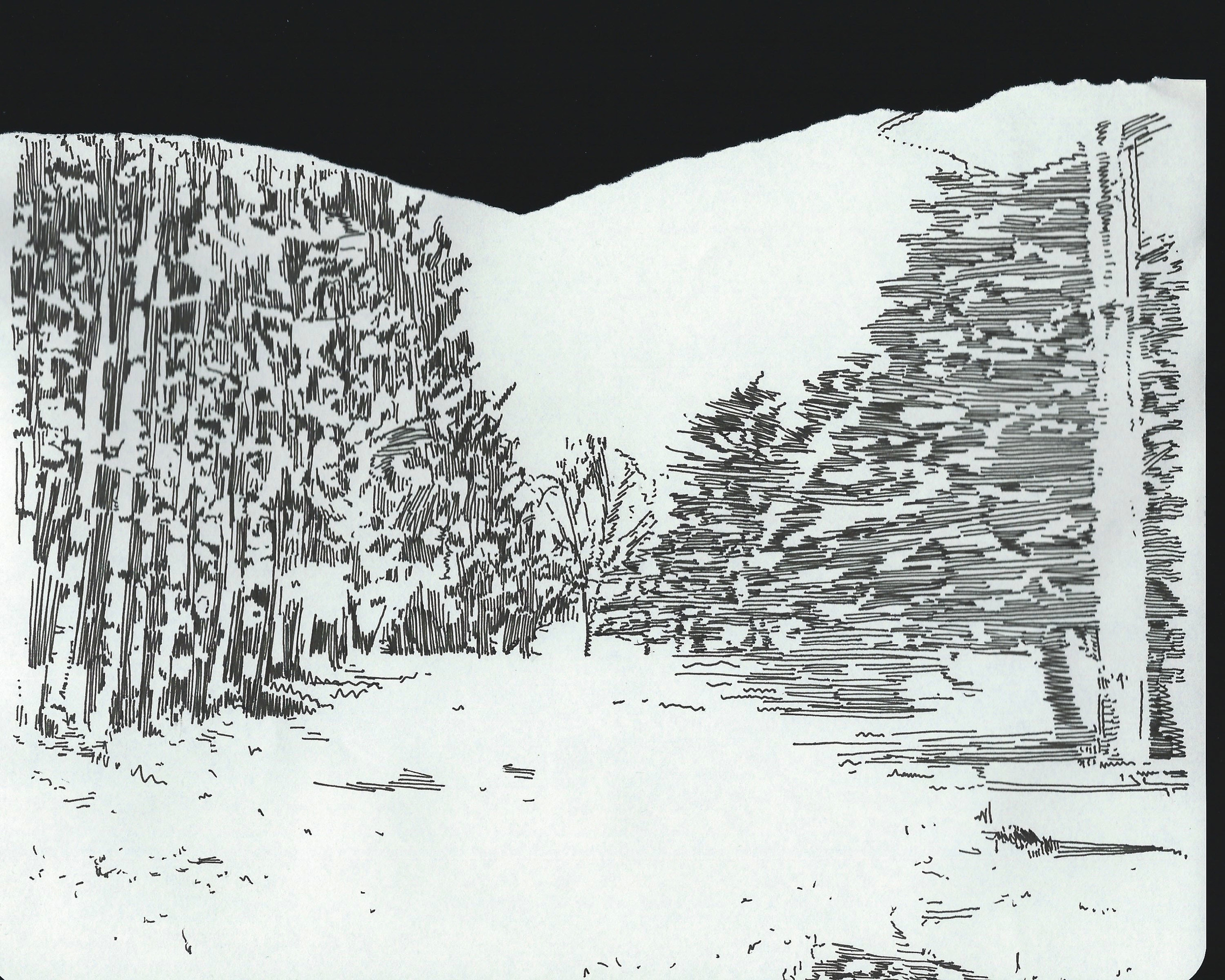 dcree_sqlakedrawing_2014-15.jpg