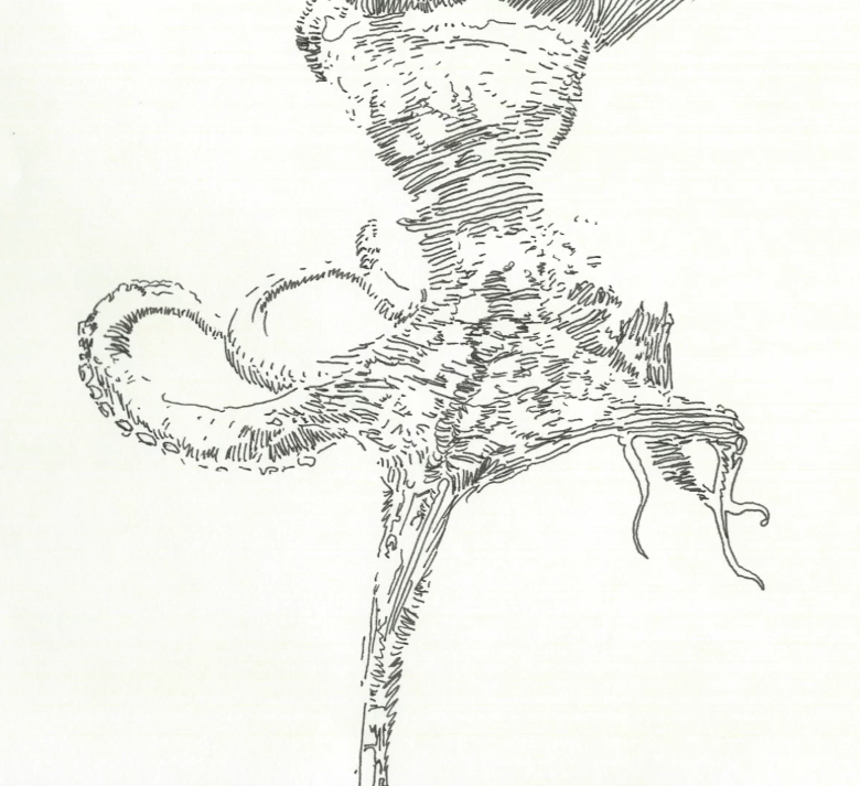 Screen Shot 2021-05-04 at 10.08.26 PM.png