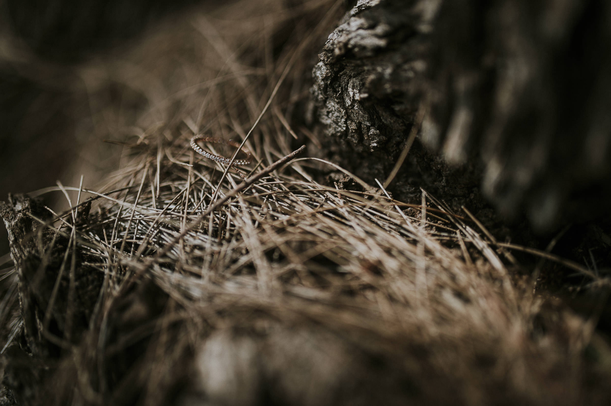 Britney_Damien_Redleaf_Wollombi_Wedding_Blog-13.jpg